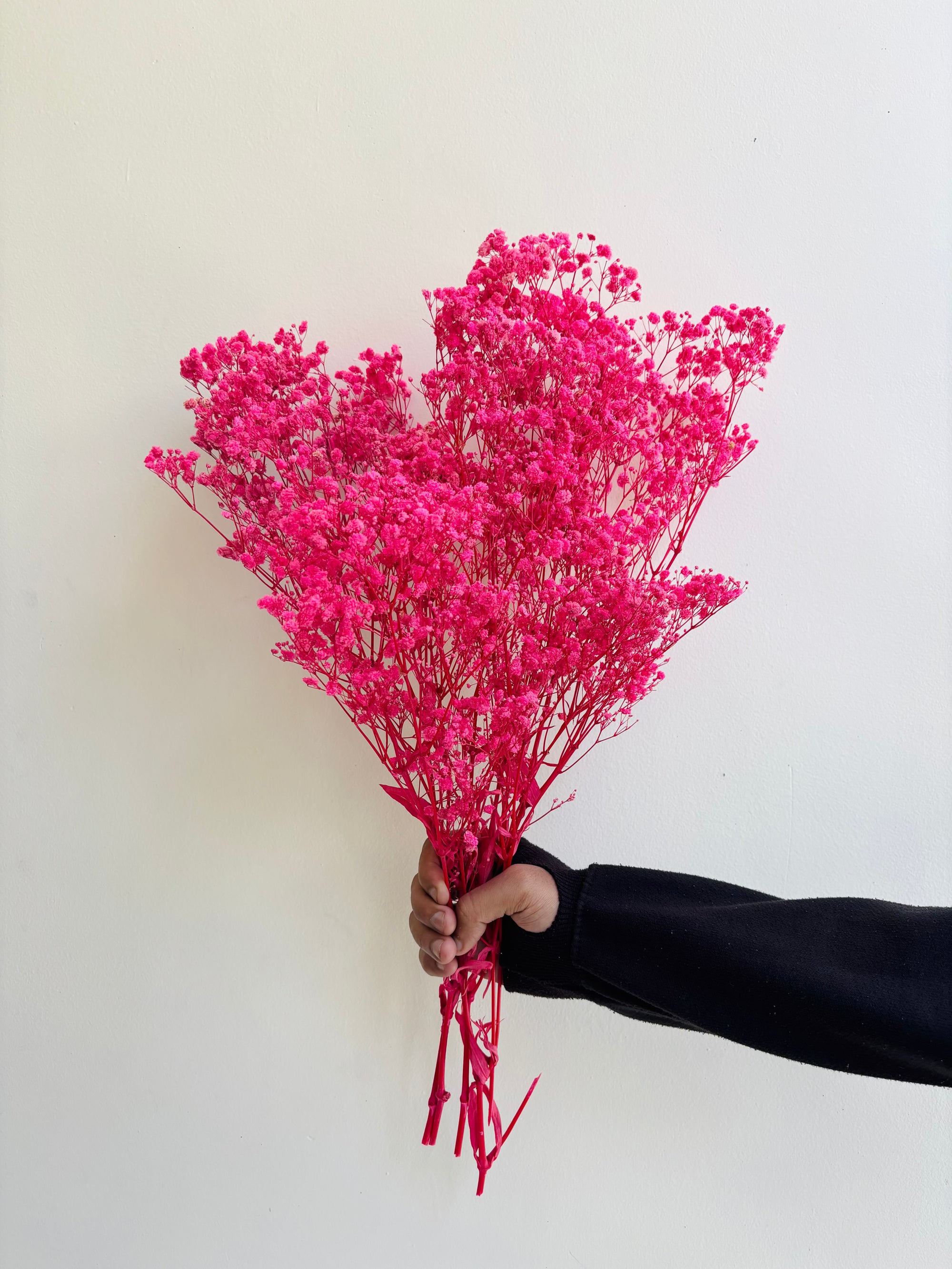PINK BABY’S BREATH BUNCH