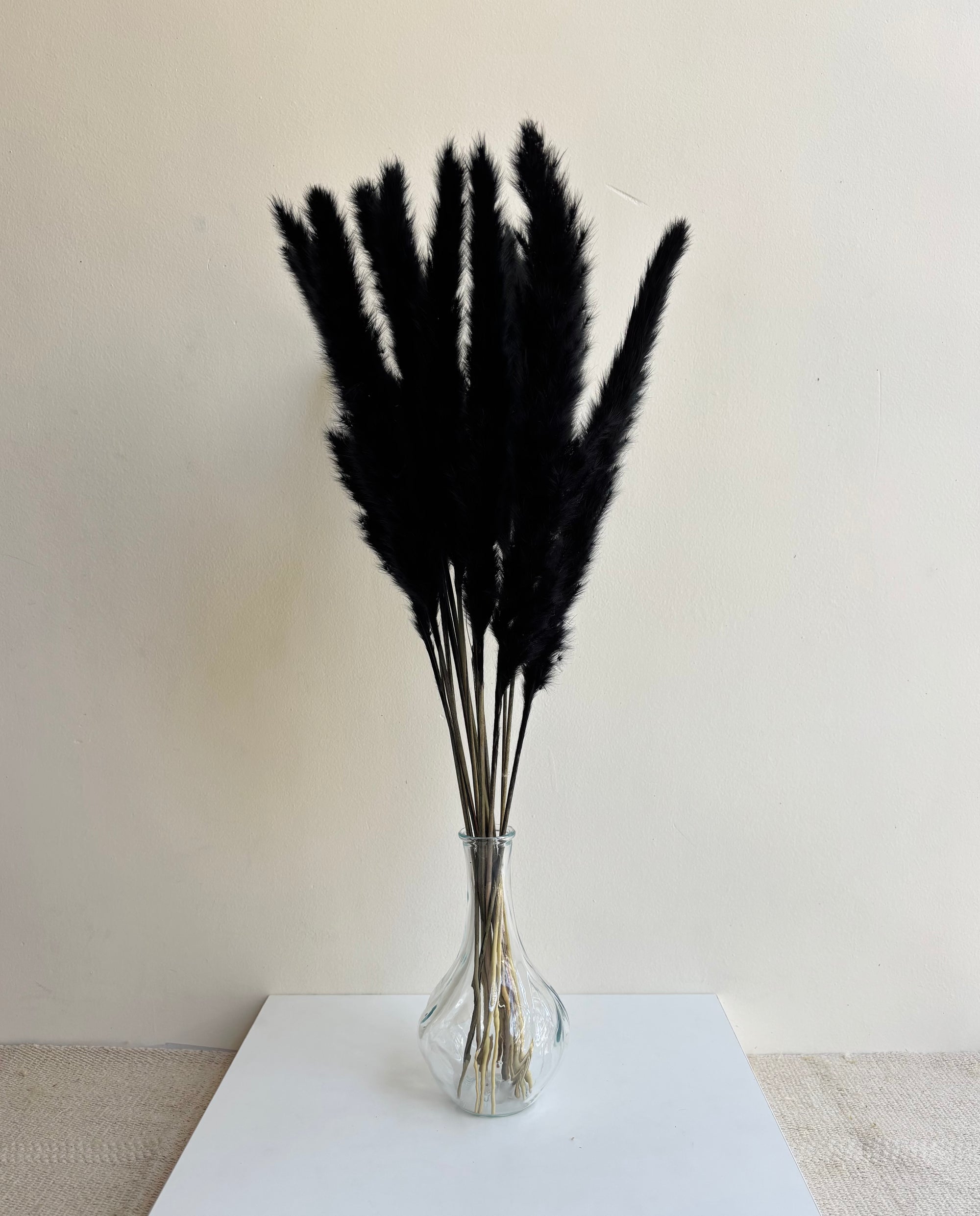 MINI PAMPAS GRASS BLACK (SET OF 10)