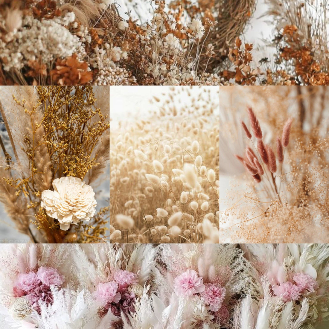 🌸 Top 10 Types of Dried Flowers You Can Buy At Lavish Flora Or In India