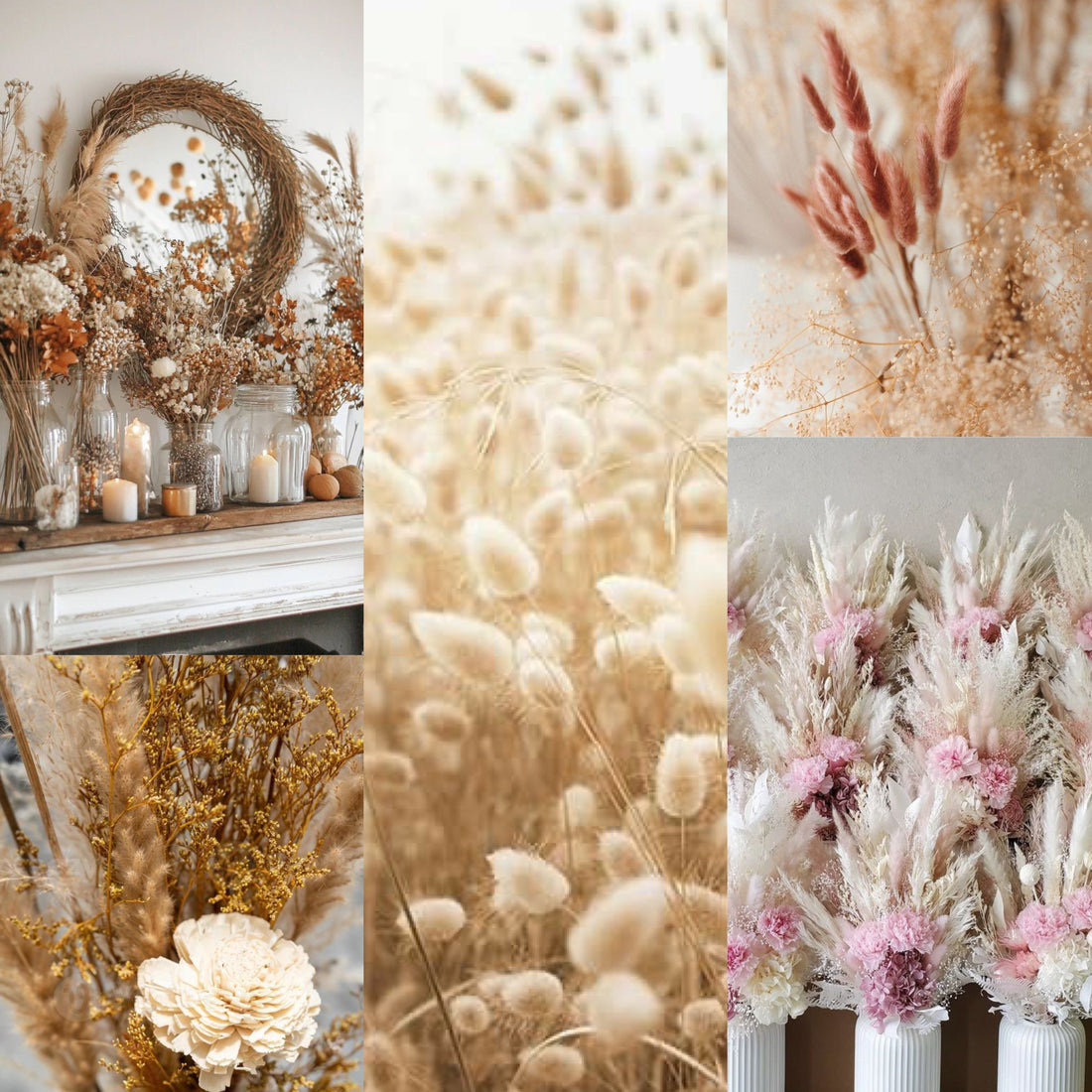 🌼 How to Take Care of Dried Flowers: A Complete Guide
