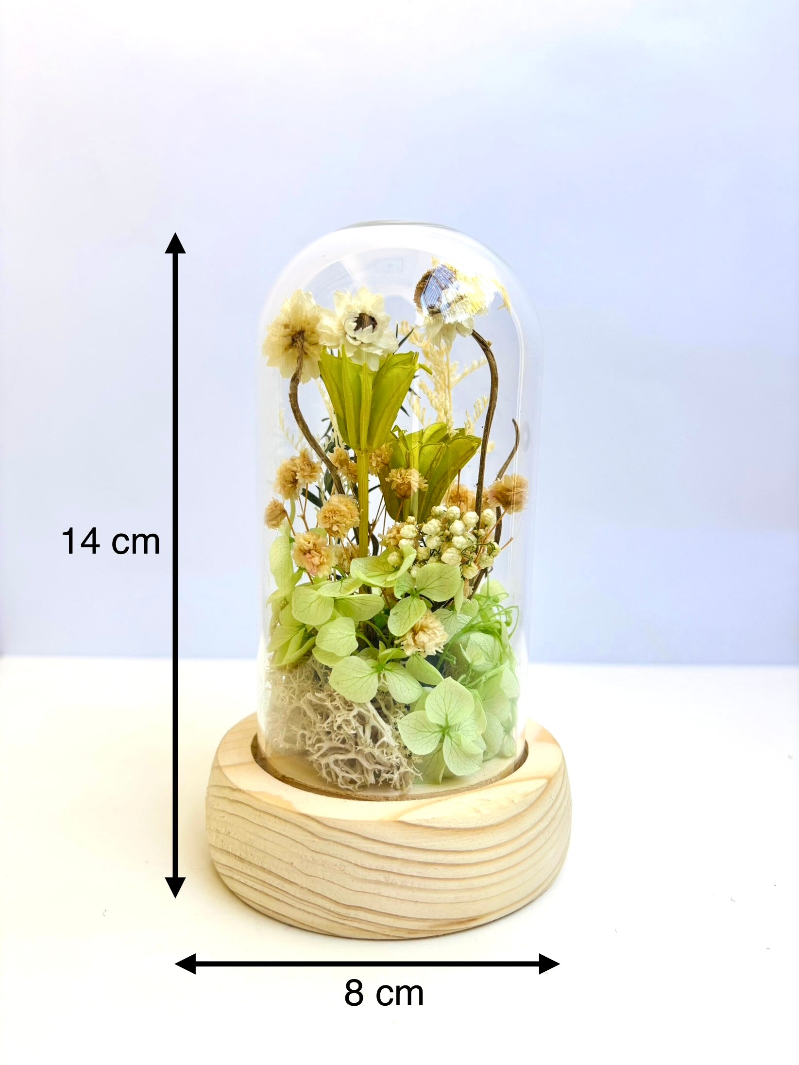 Botanical Wish Preserved Flower Glass Dome (small)