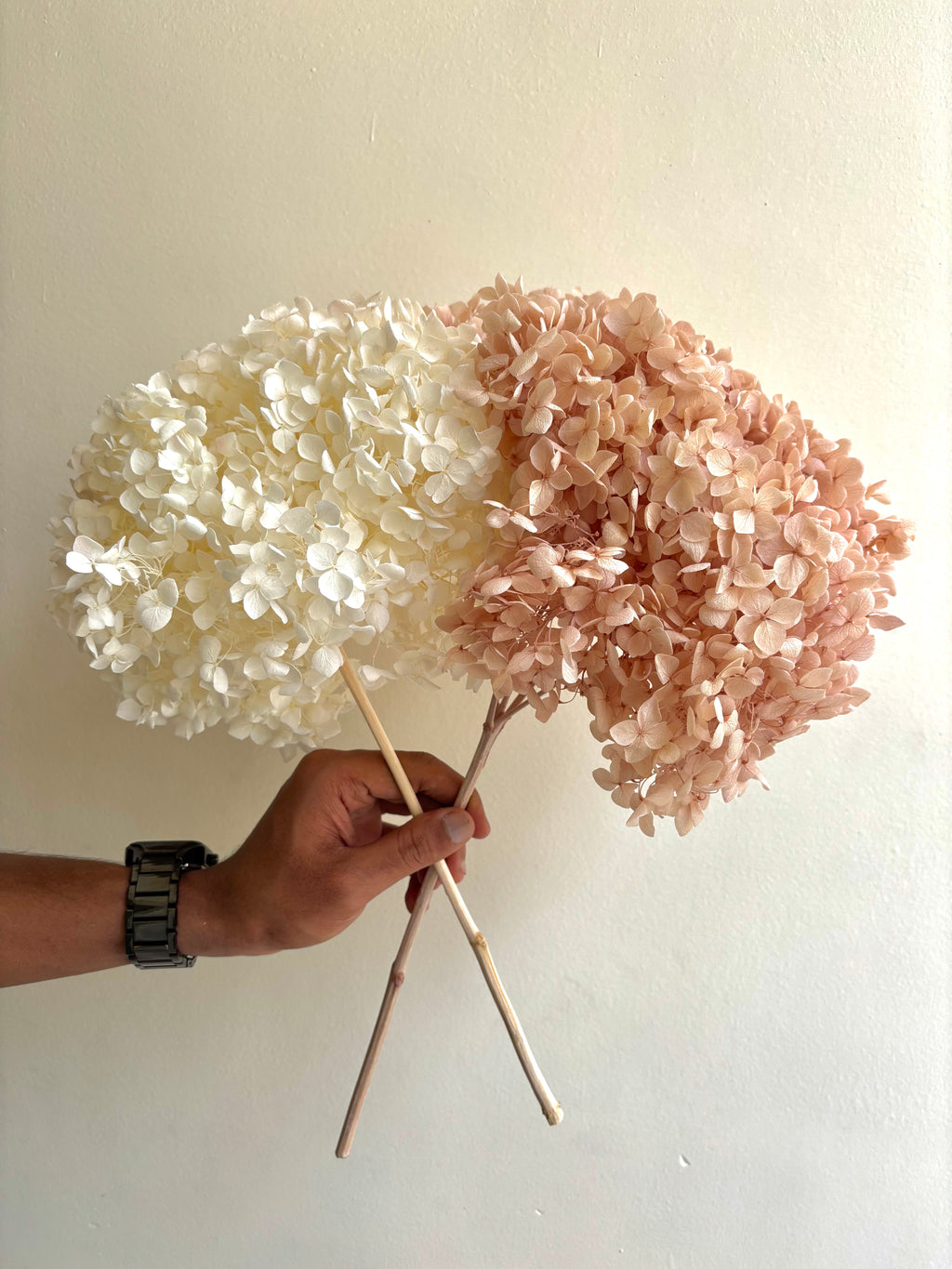 SERENE BLOOM PRESERVED HYDRANGEA (BUNCH OF 2)