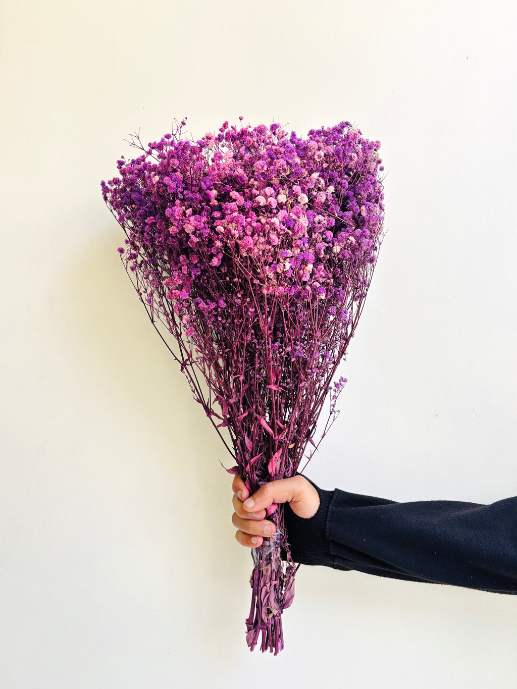 PURPLE BABY’S BREATH BUNCH