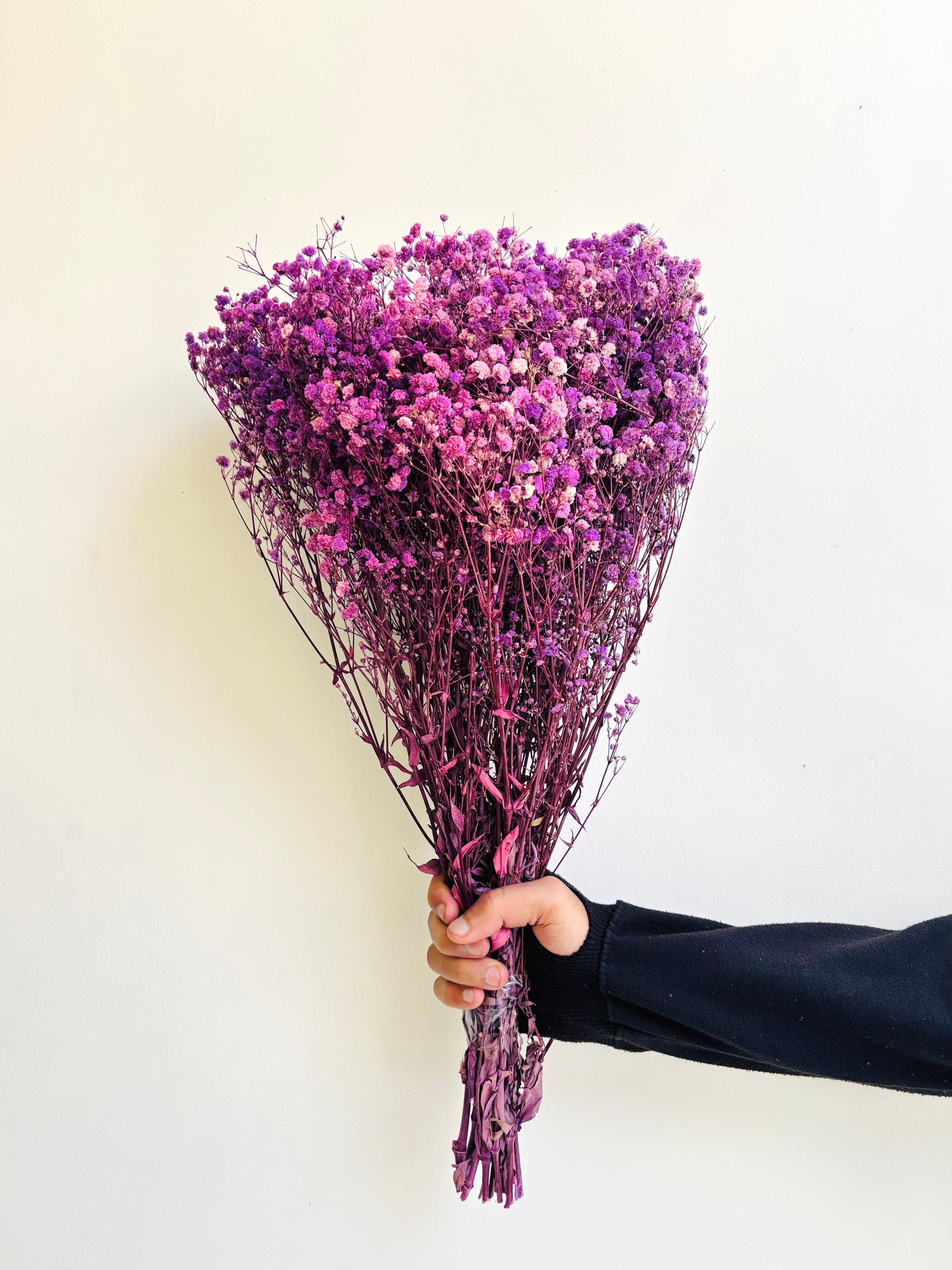 PURPLE BABY’S BREATH BUNCH