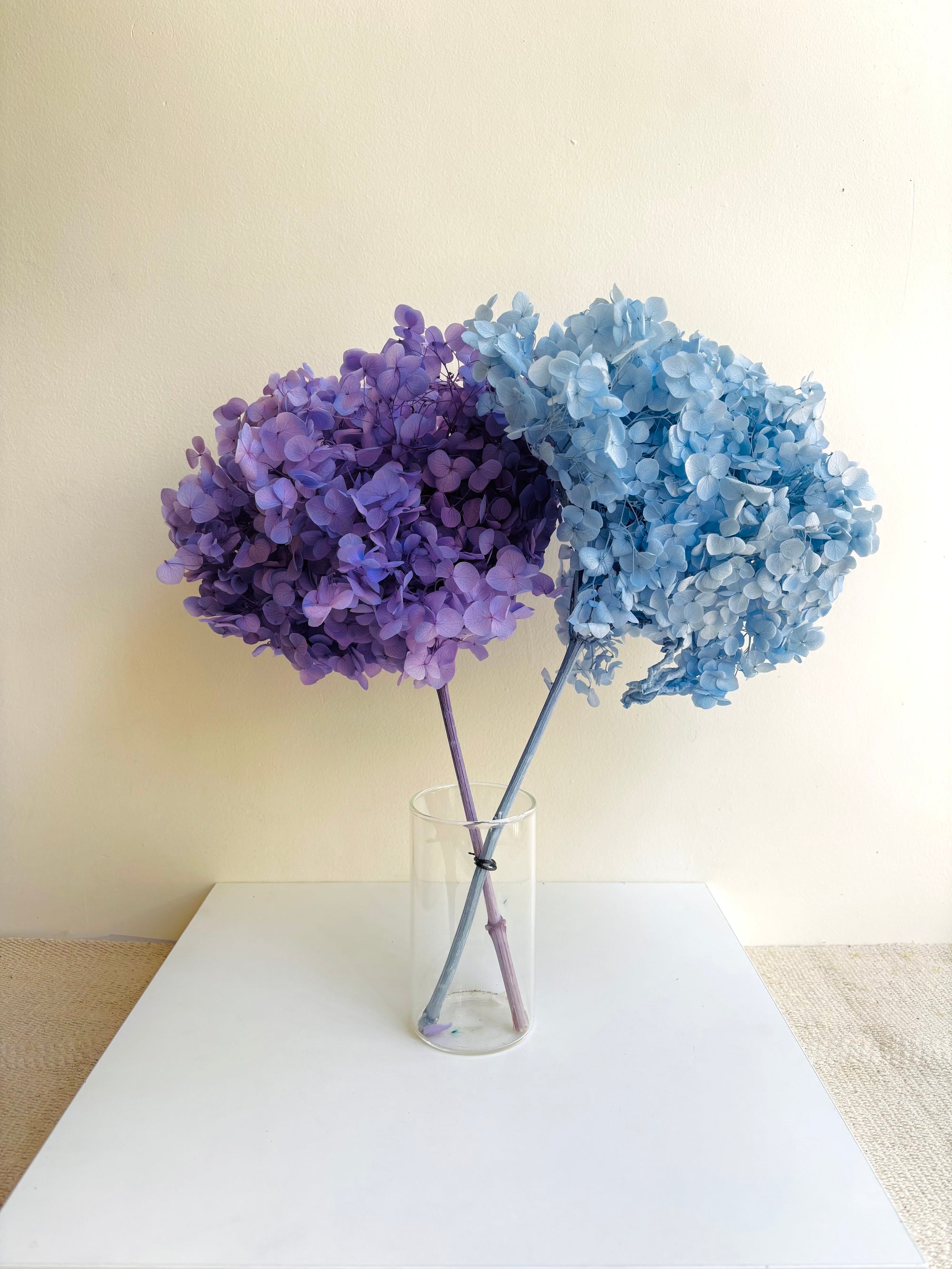 NUVELLA PRESERVED HYDRANGEA (BUNCH OF 2)