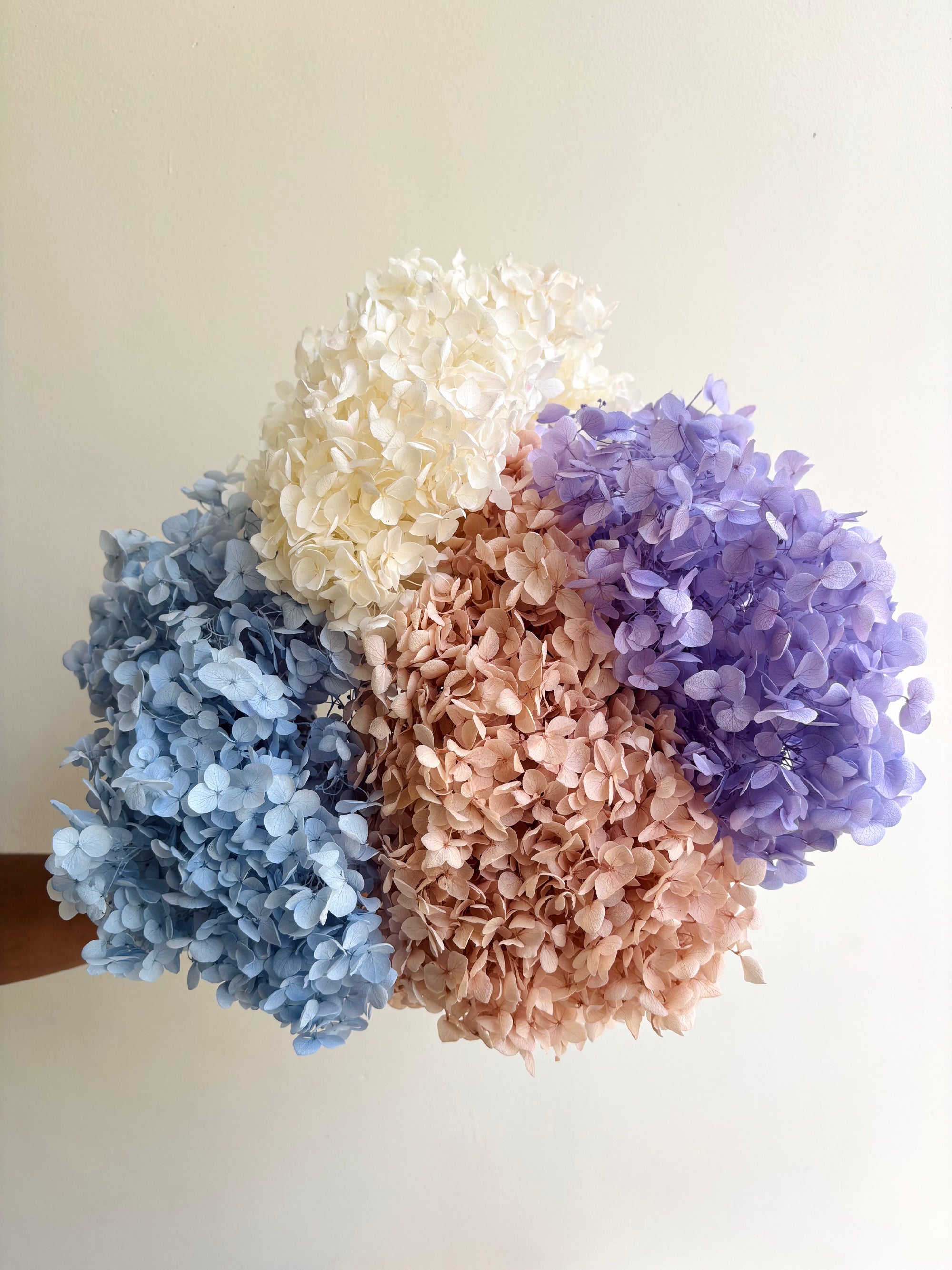 CENTRE PIECE PRESERVED HYDRANGEA (BUNCH OF 4)