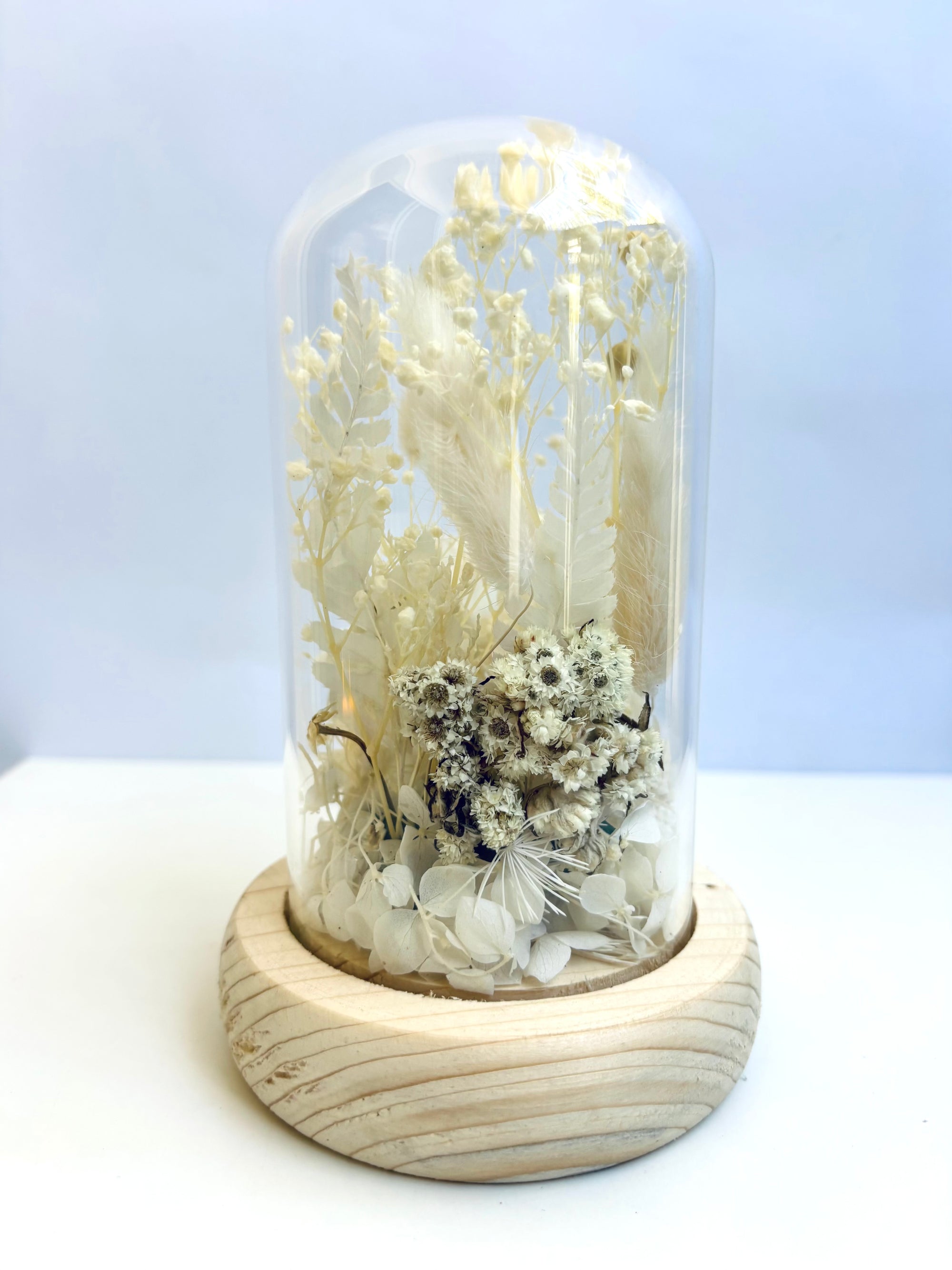 Winter White Preserved Flower Glass Dome (Medium)