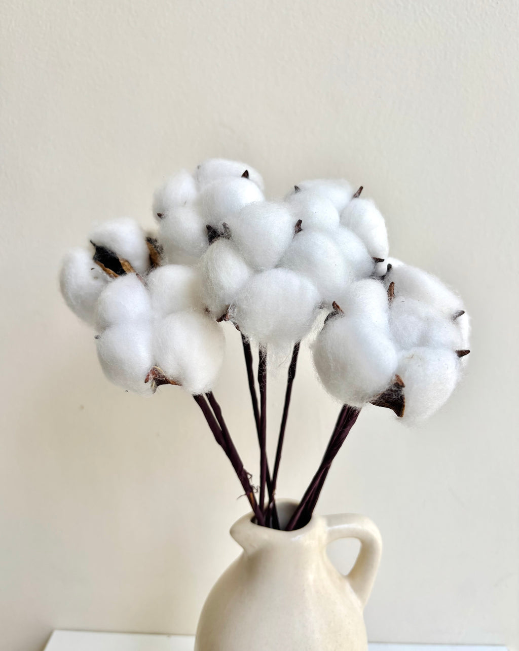 COTTON PODS (SET OF 10)
