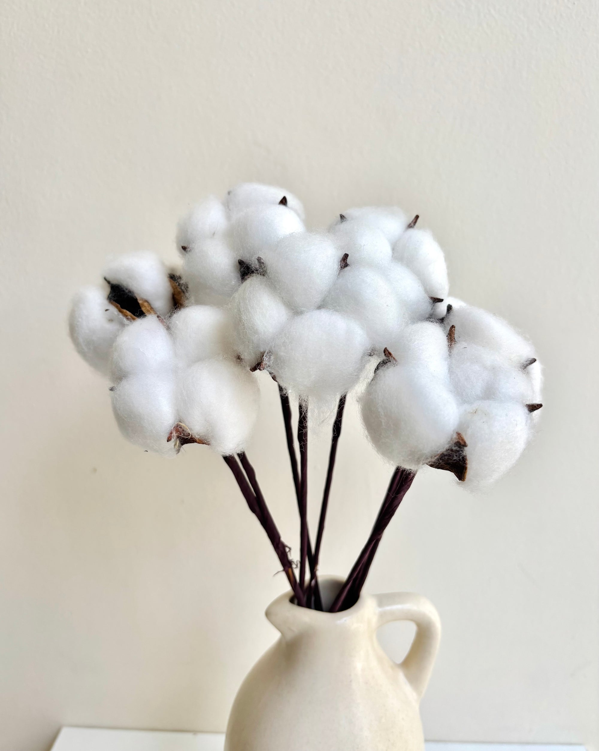 COTTON PODS (SET OF 10)