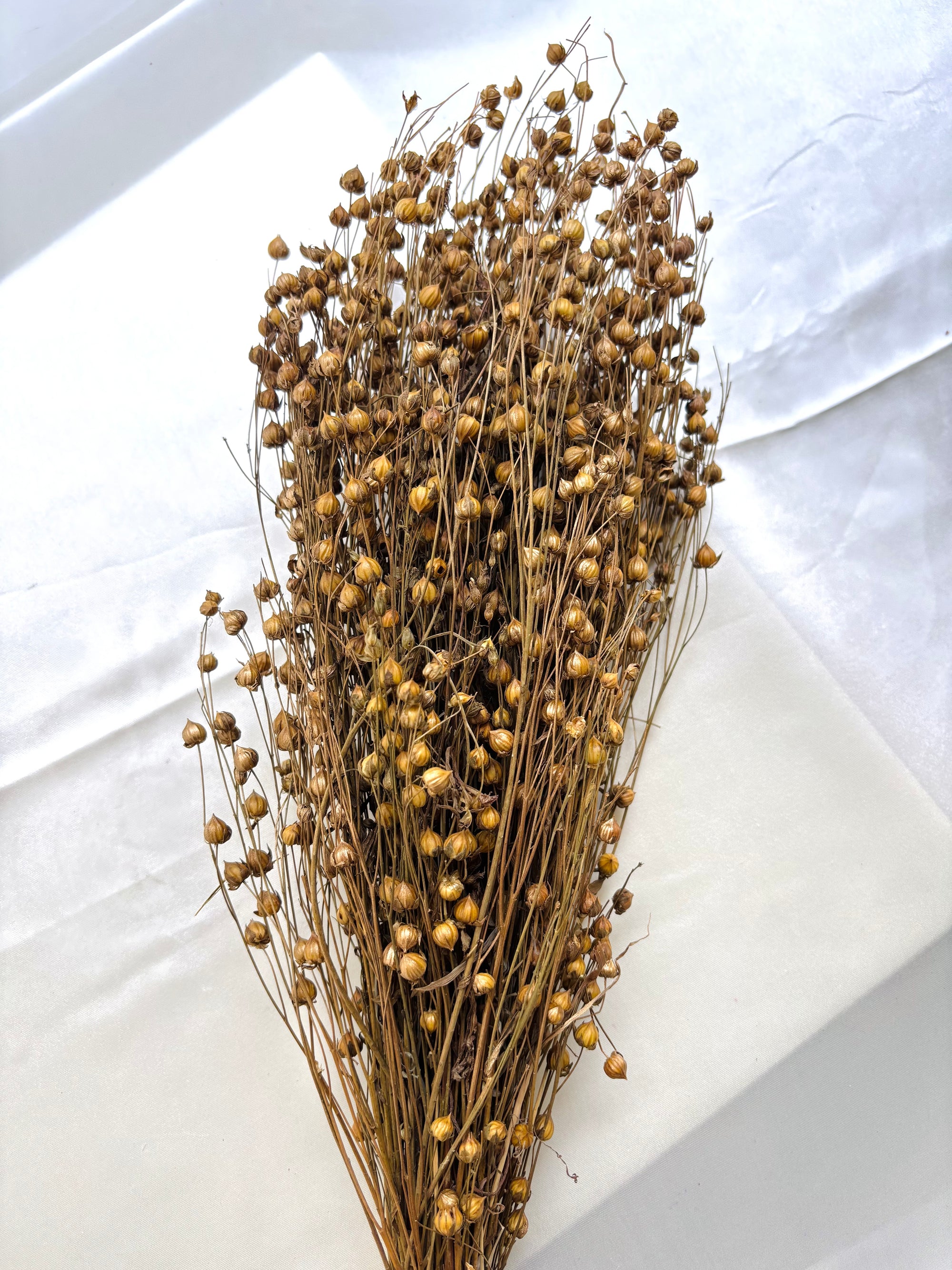 LINUM FLAX GOLD (100 GRAM)