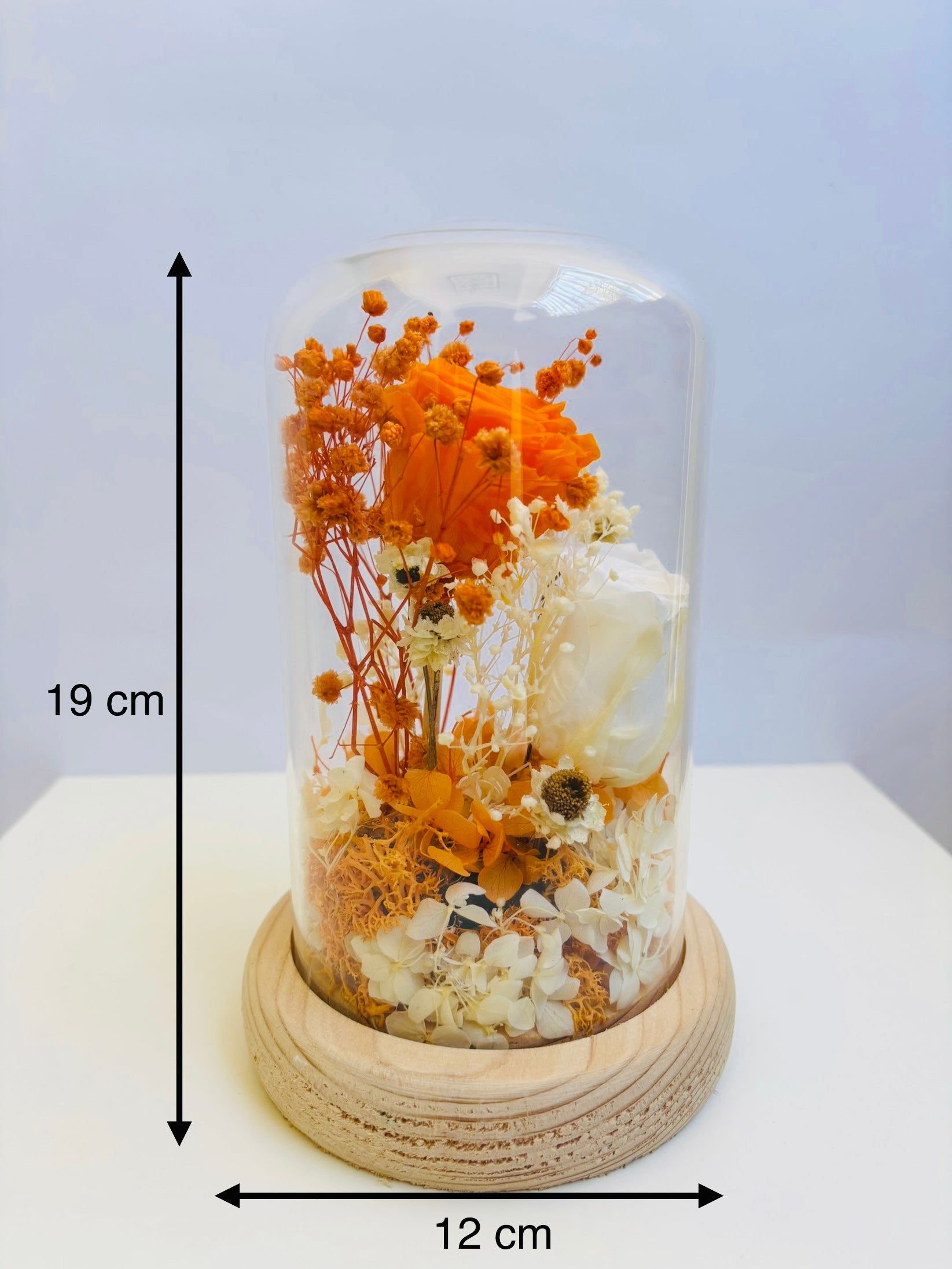 Ray Of Sunshine Preserved Flower Glass Dome (Large)