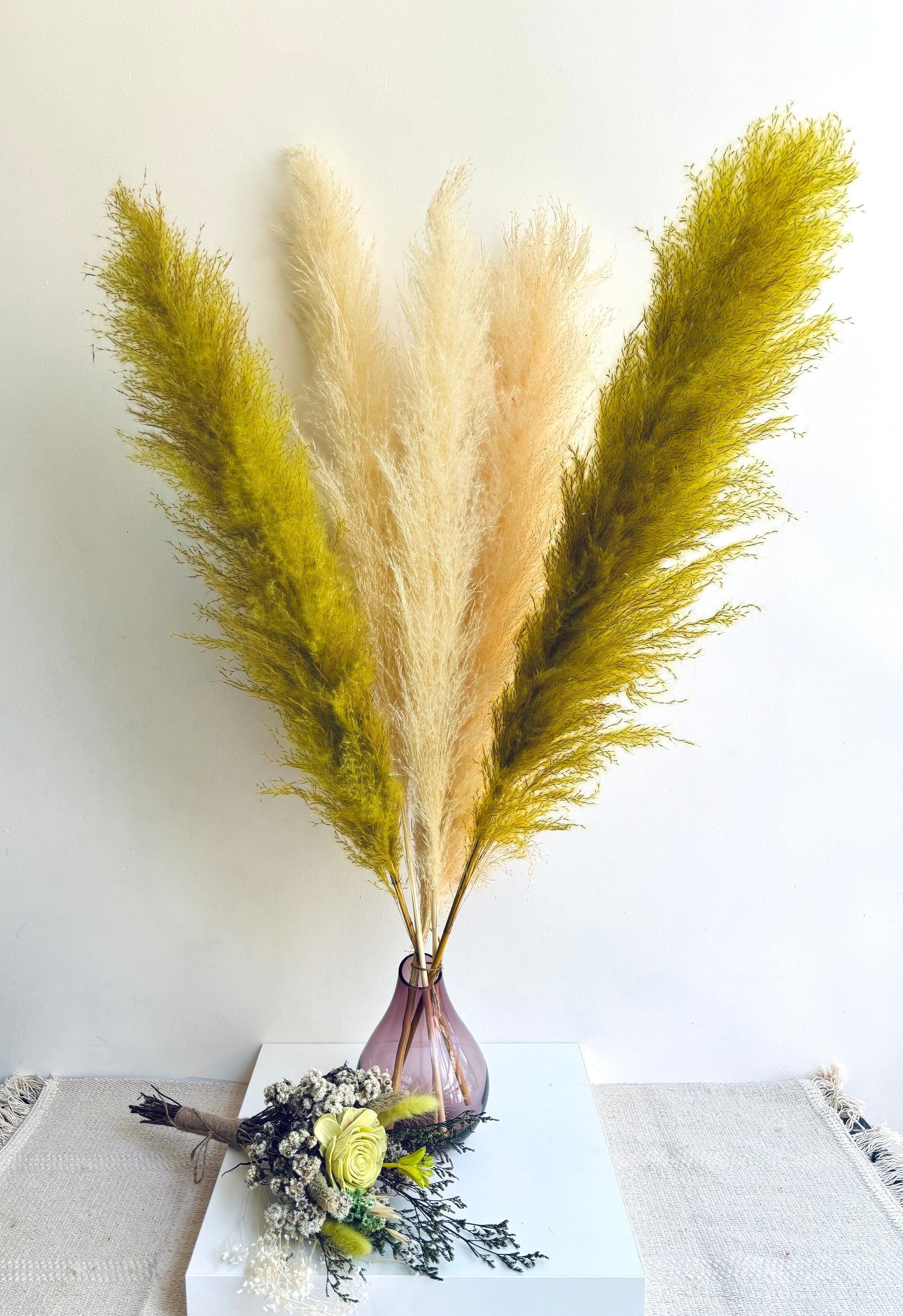 URBAN LUXE JUMBO FLUFFY PAMPAS (SET OF 5)
