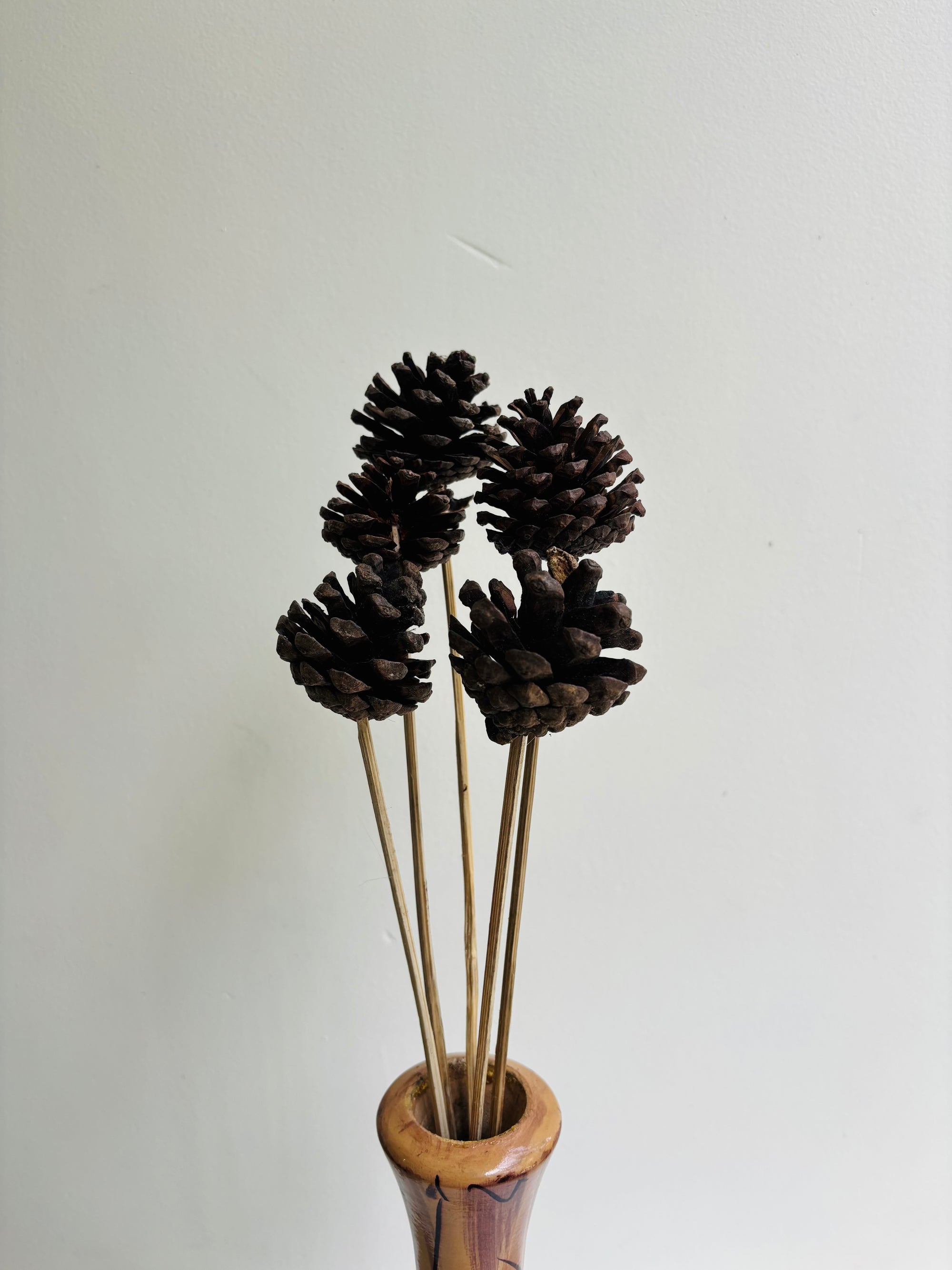 PINE CONES (SET OF 5)