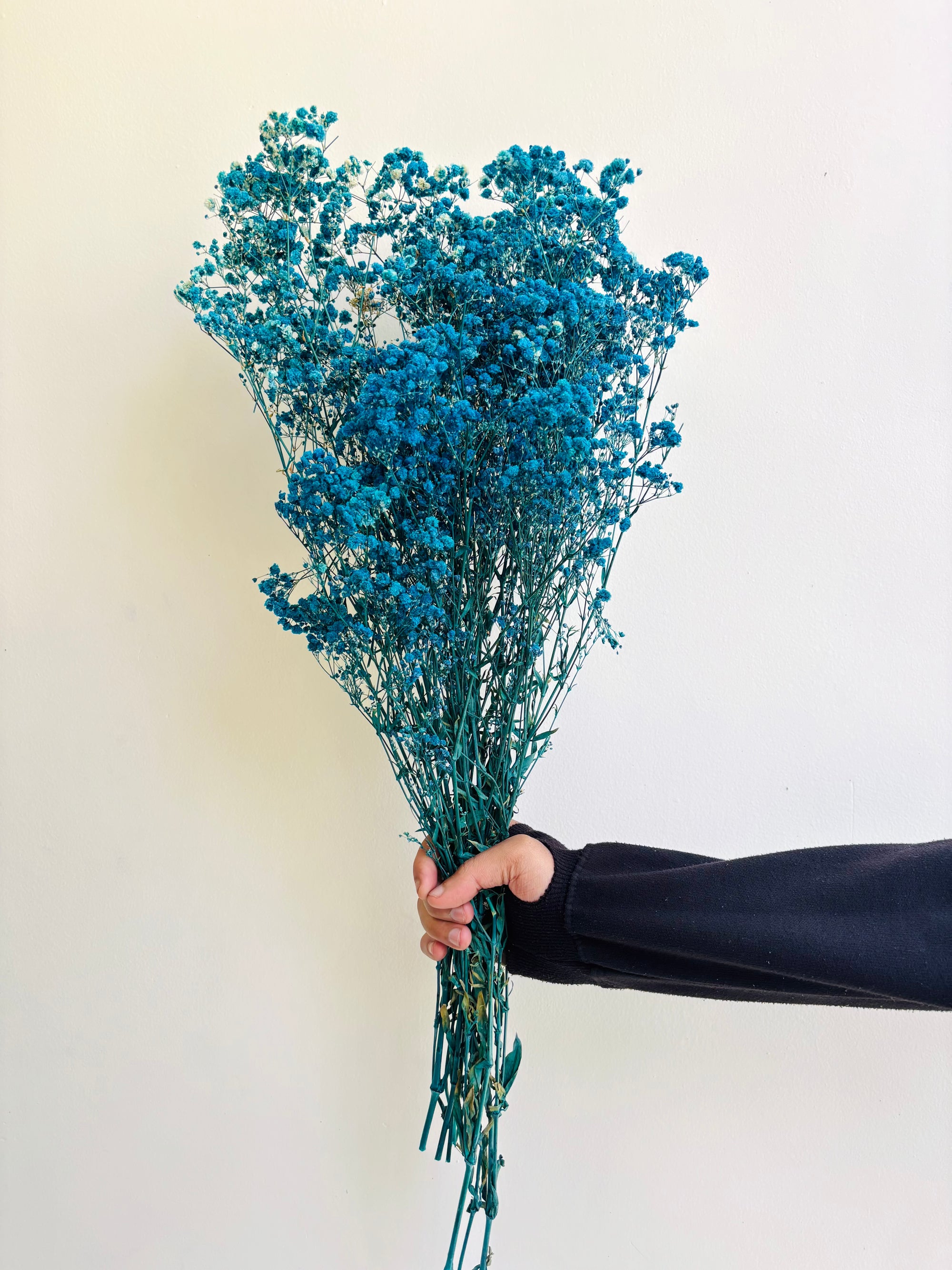 BLUE BABY’S BREATH BUNCH
