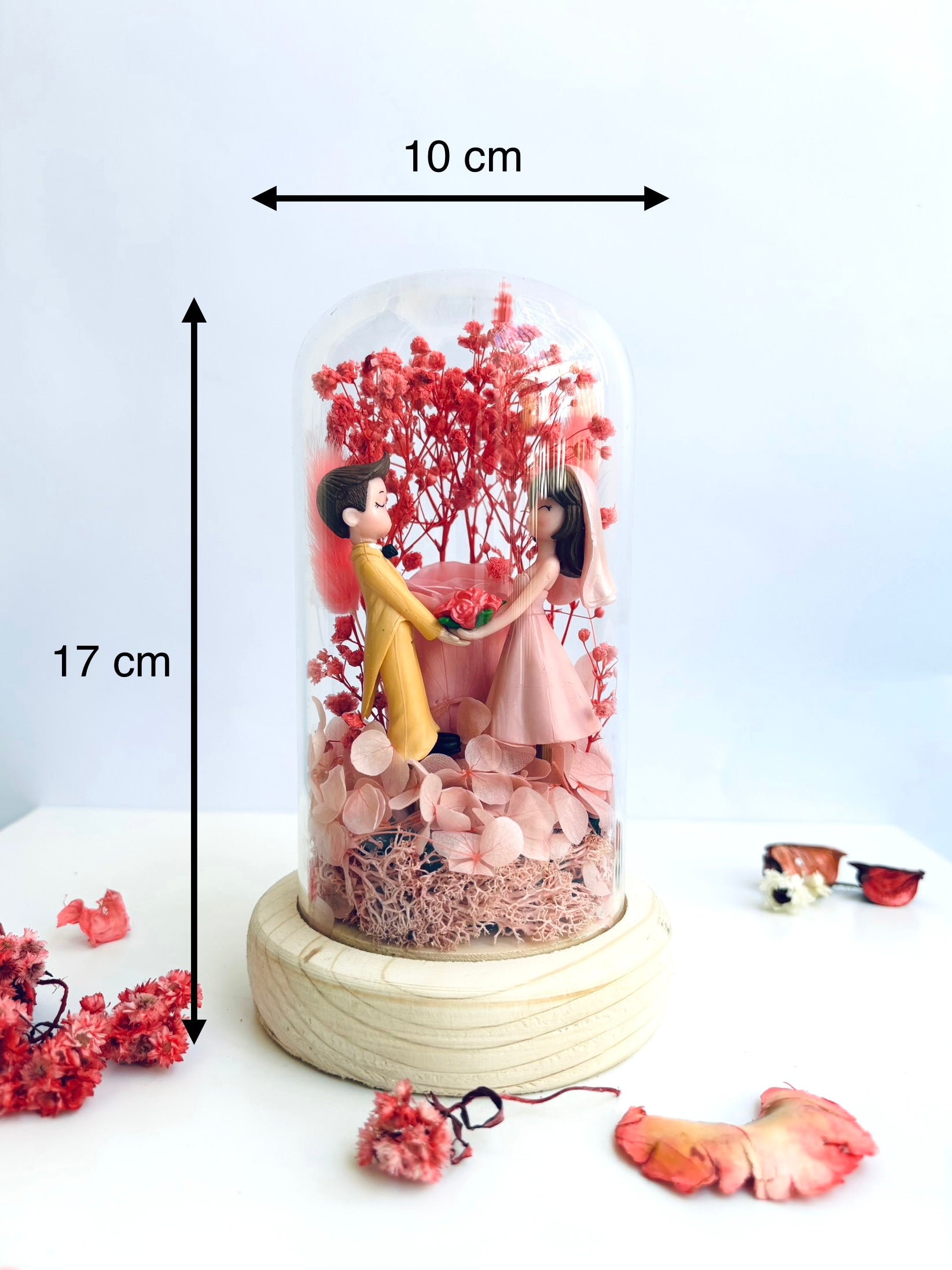 The Love Nest Preserved Flower Glass Dome (Medium)
