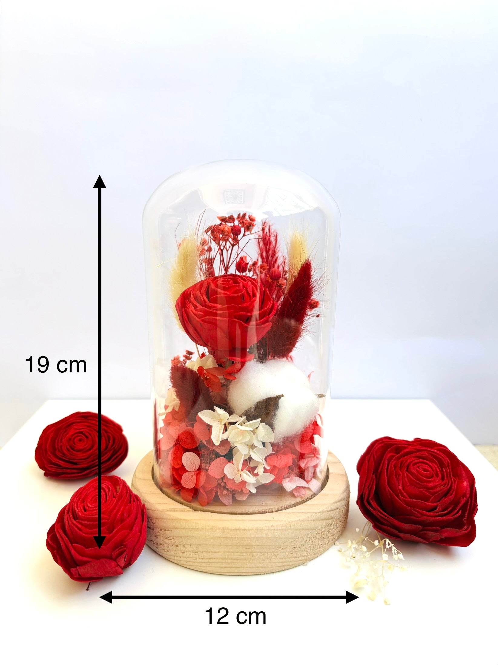 Scarlet Dreams Preserved Flower Glass Dome (Large)