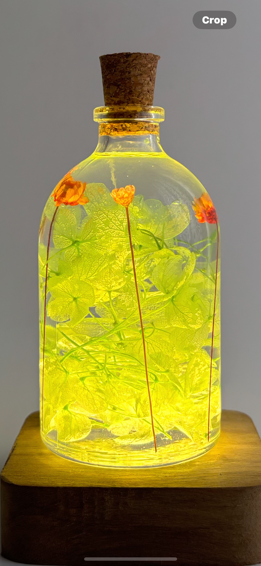 Lush Bloomfield Preserved Flower Tabletop
