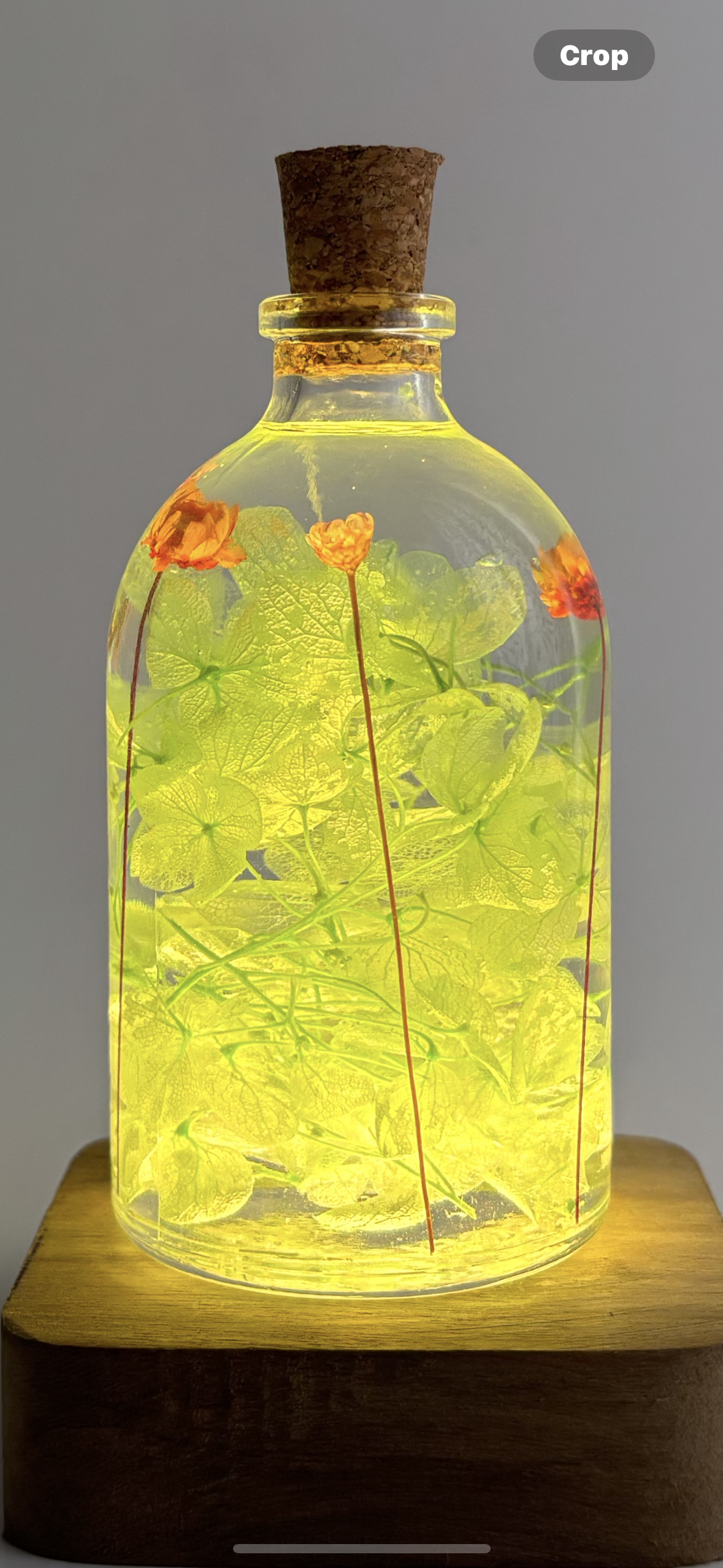 Lush Bloomfield Preserved Flower Tabletop