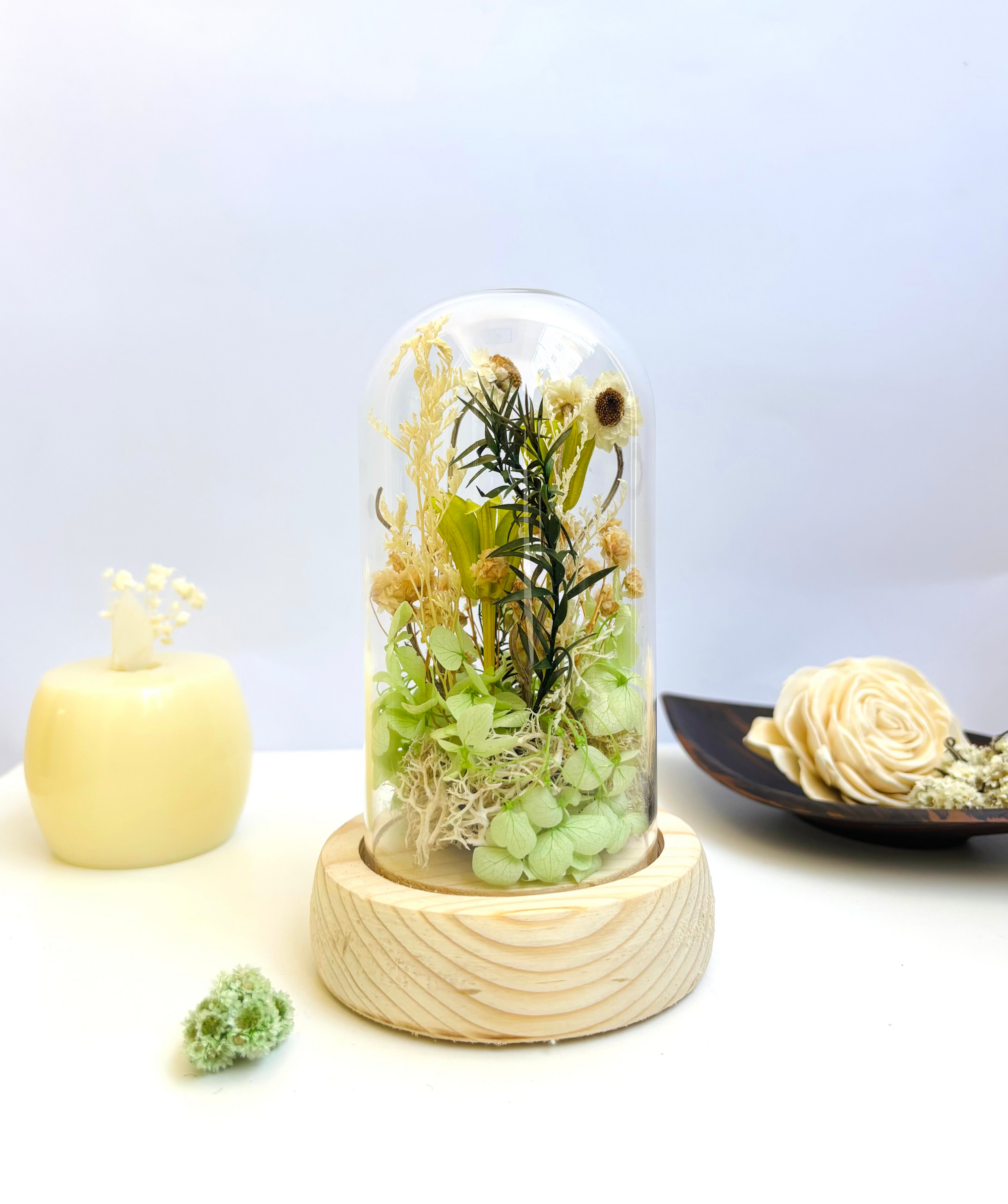 Botanical Wish Preserved Flower Glass Dome (small)