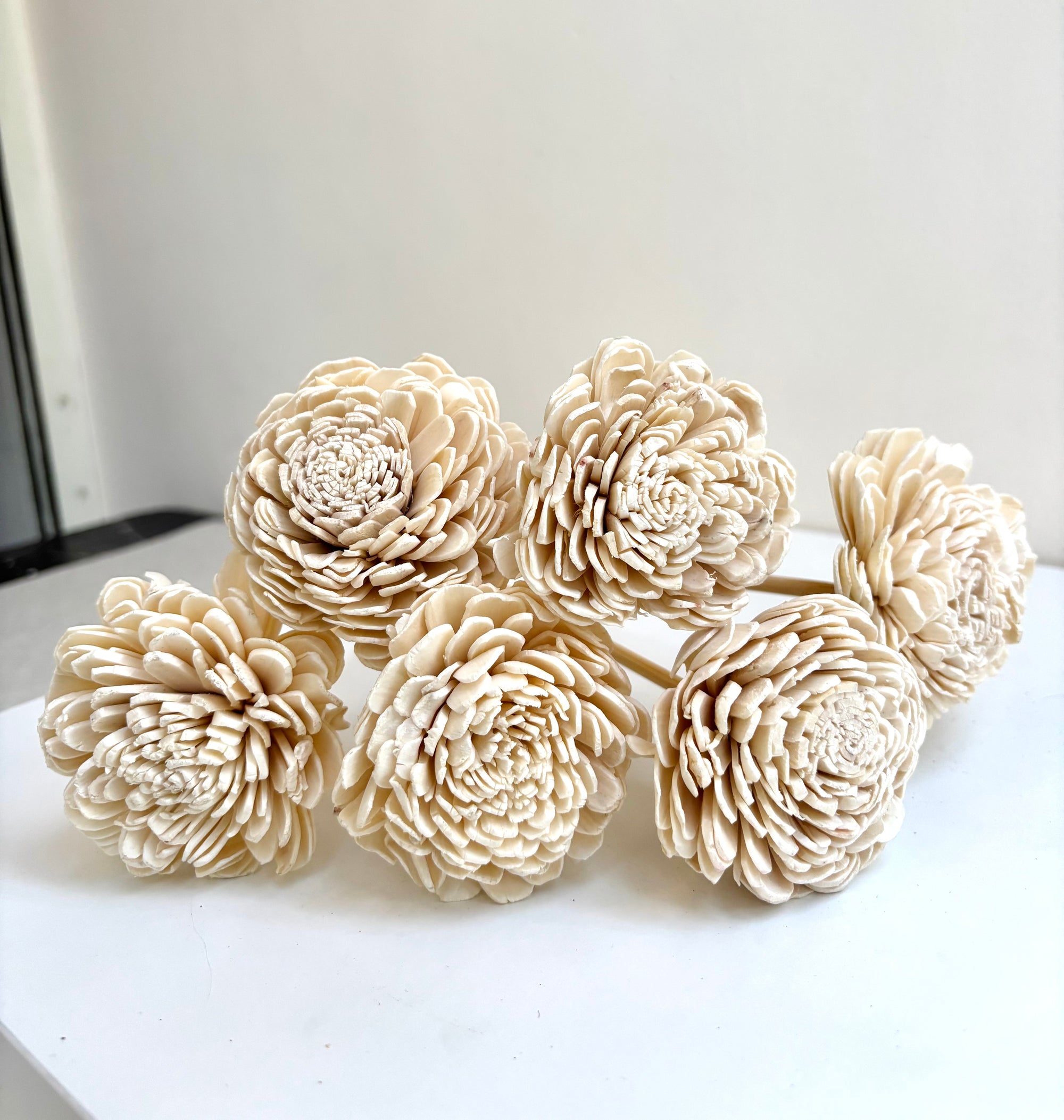 SOLA BUD ROSE (SET OF 6)