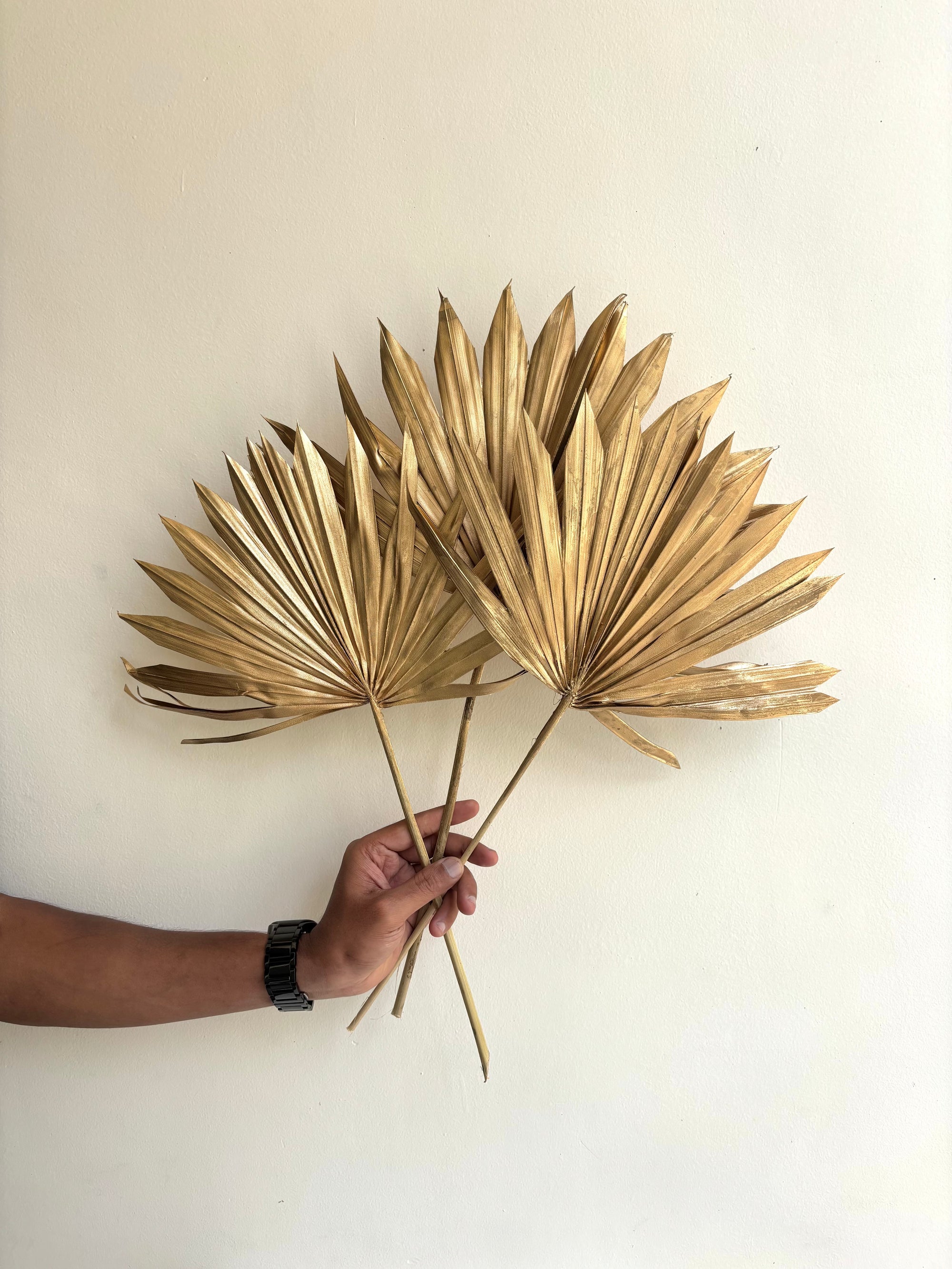 GOLDEN SUN PALM (SET OF 3)