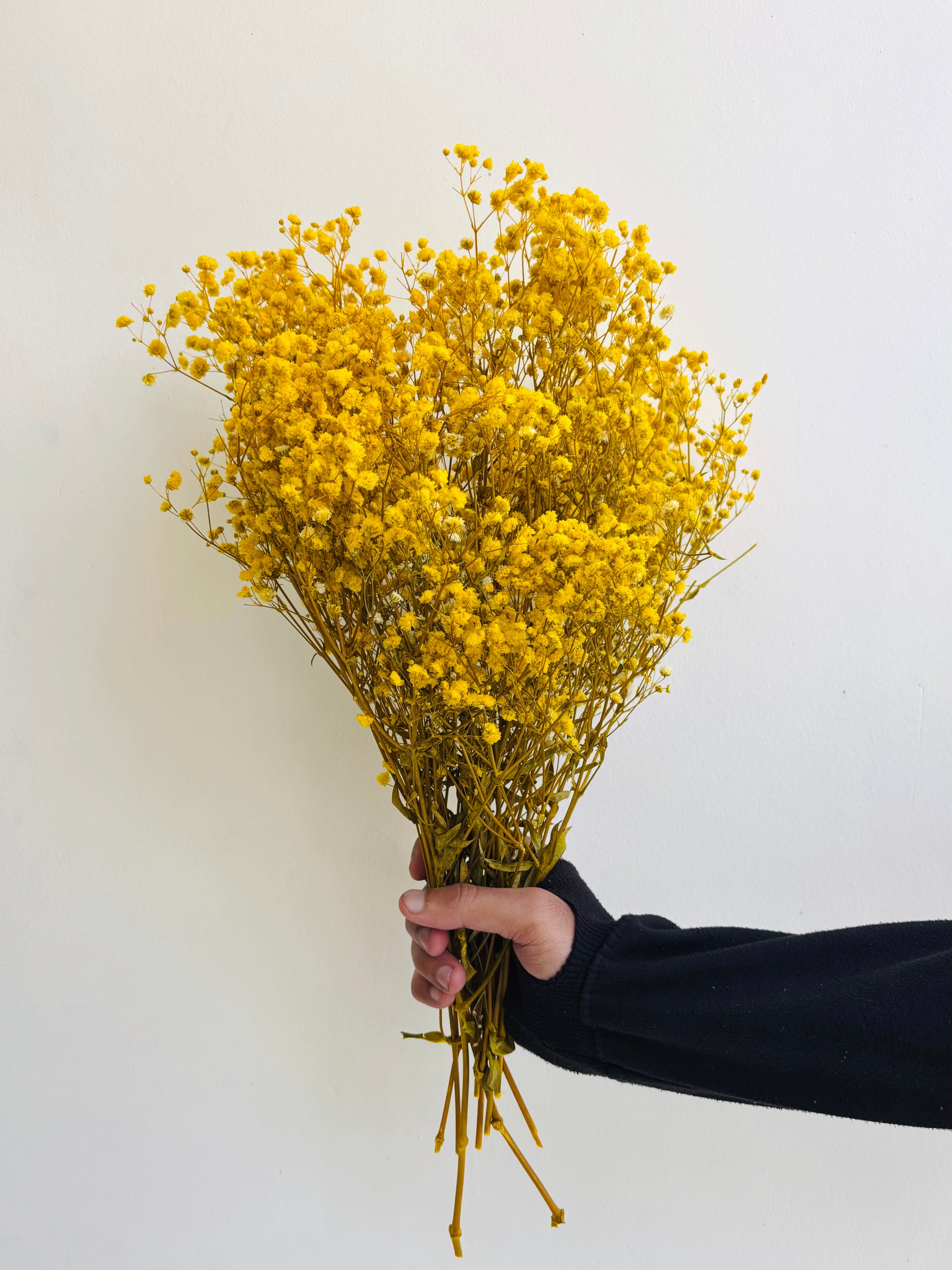 YELLOW BABY’S BREATH BUNCH