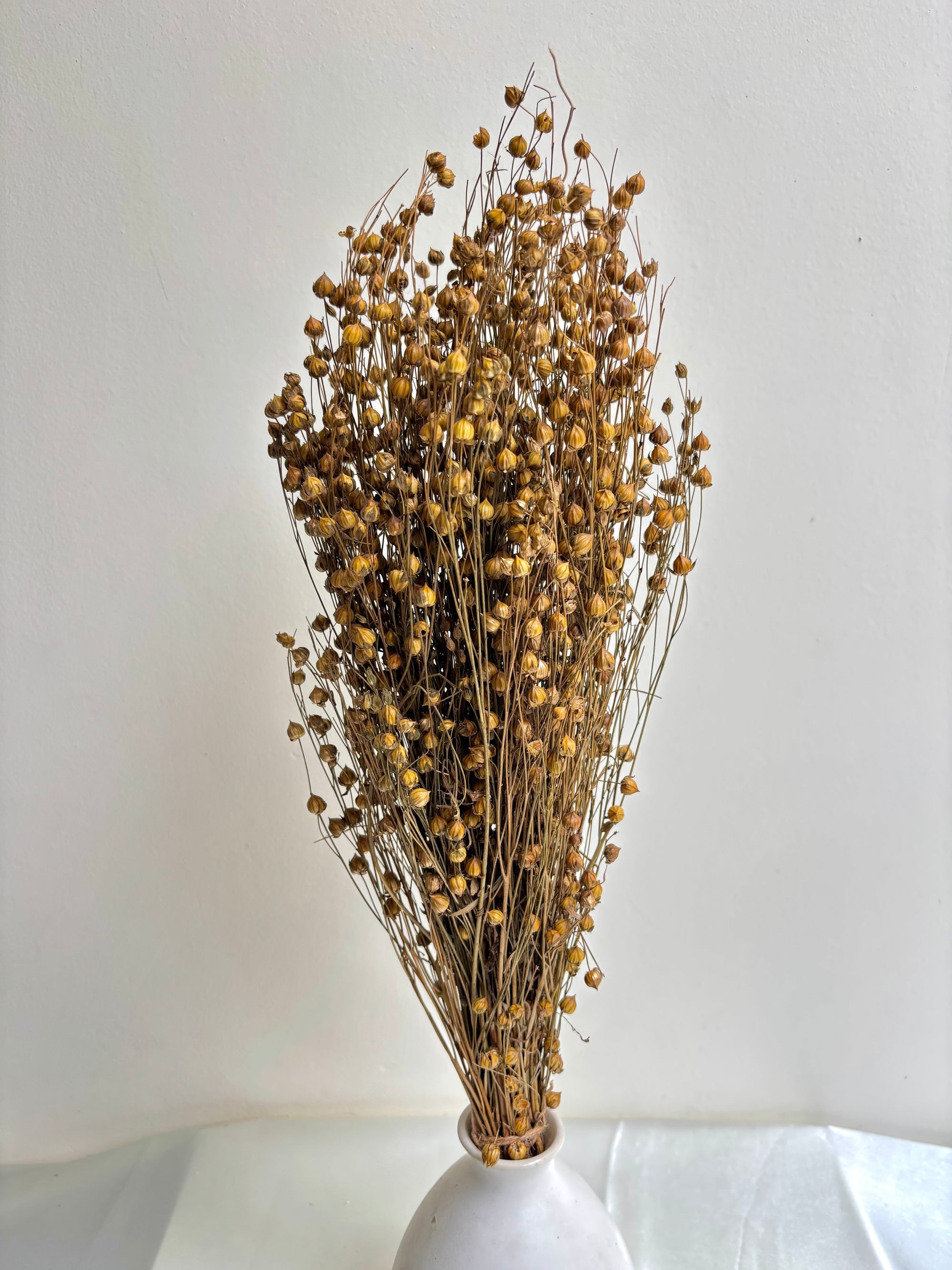 LINUM FLAX GOLD (100 GRAM)