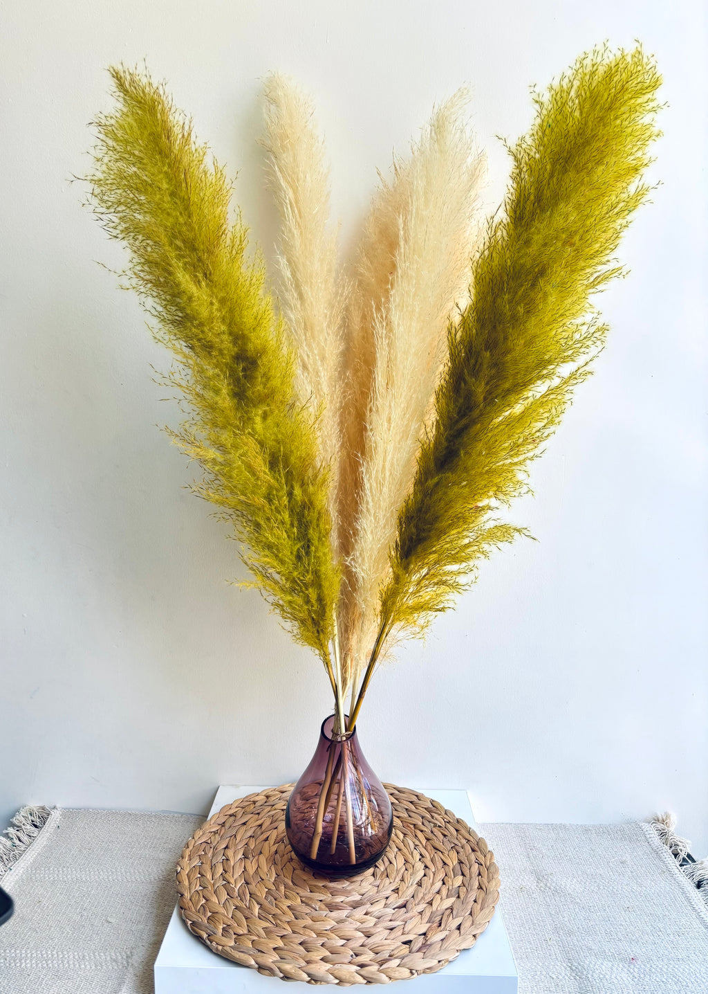 URBAN LUXE JUMBO FLUFFY PAMPAS (SET OF 5)