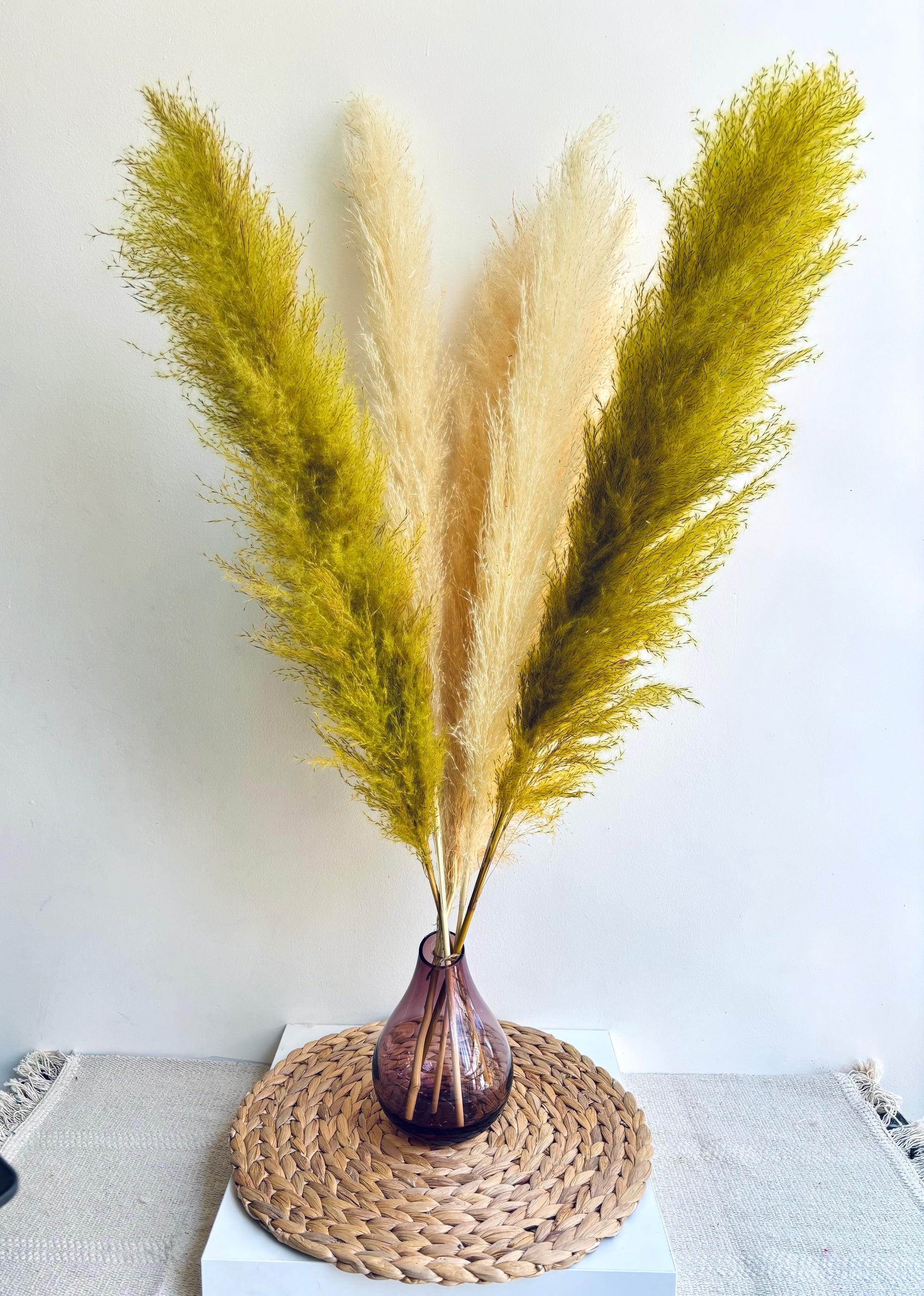 URBAN LUXE JUMBO FLUFFY PAMPAS (SET OF 5)