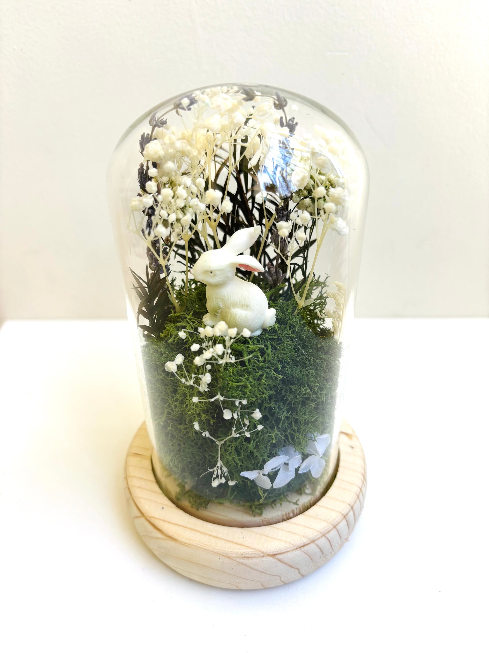 The Mossy Nook Preserved Flower Glass Dome (Medium)