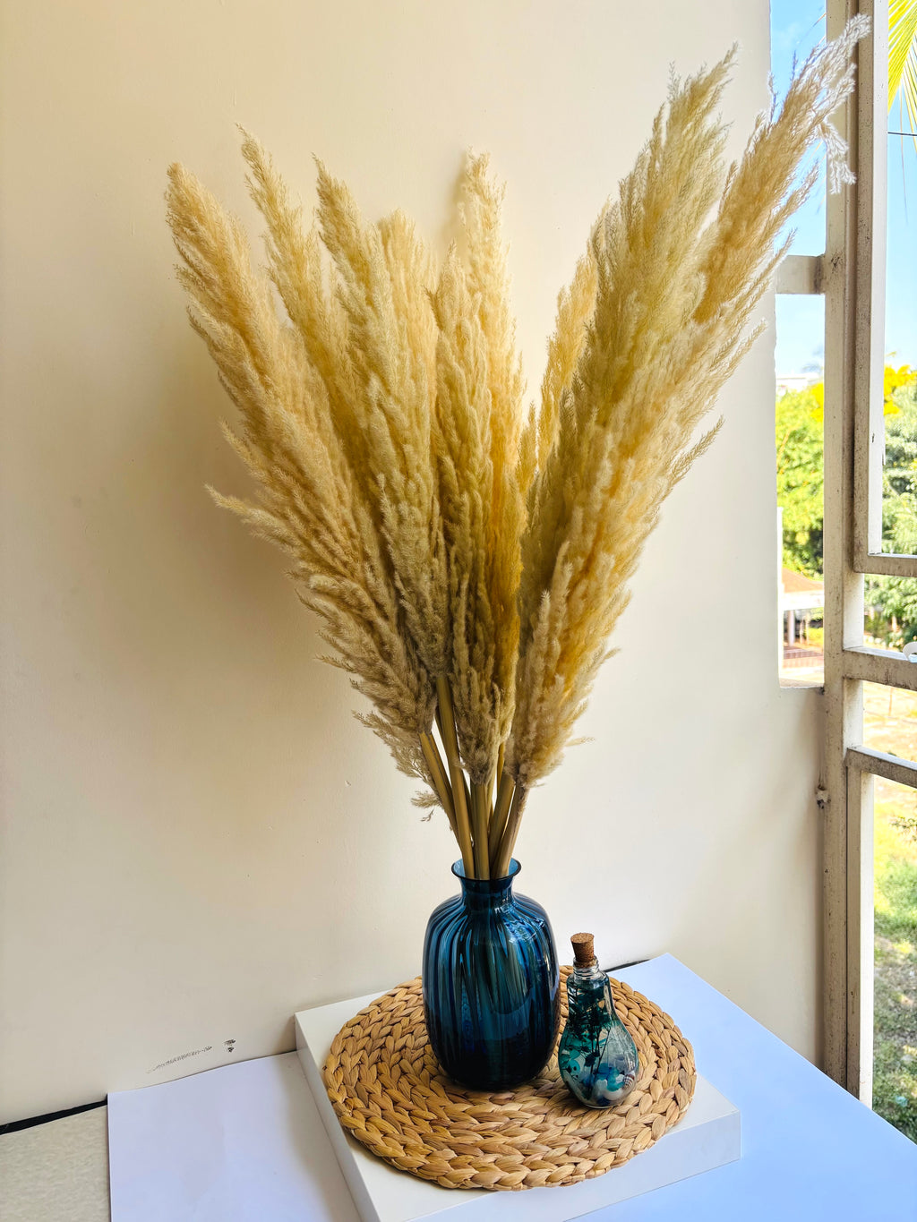 SOFT BREEZE OFF-WHITE PAMPAS