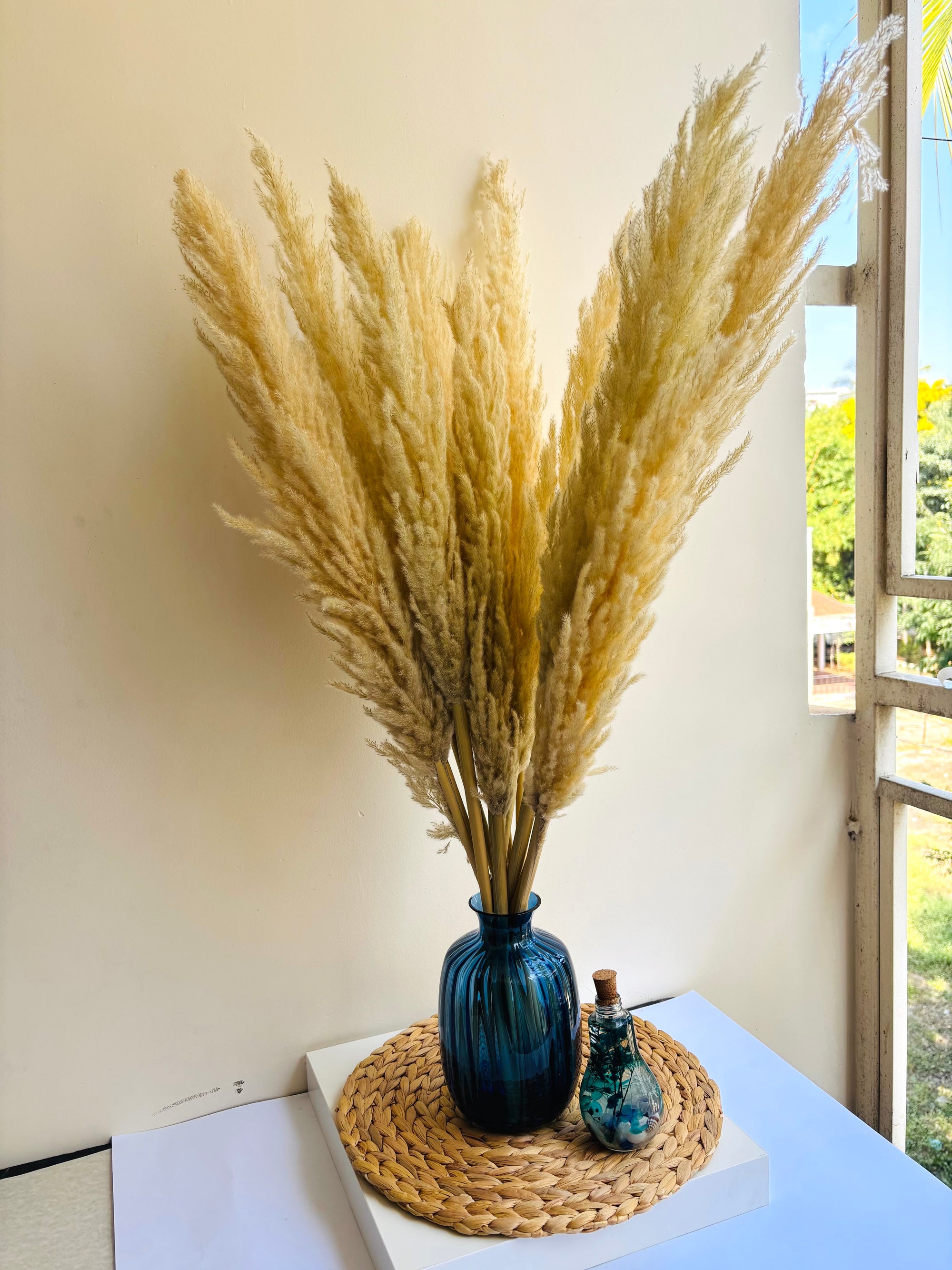 SOFT BREEZE OFF-WHITE PAMPAS