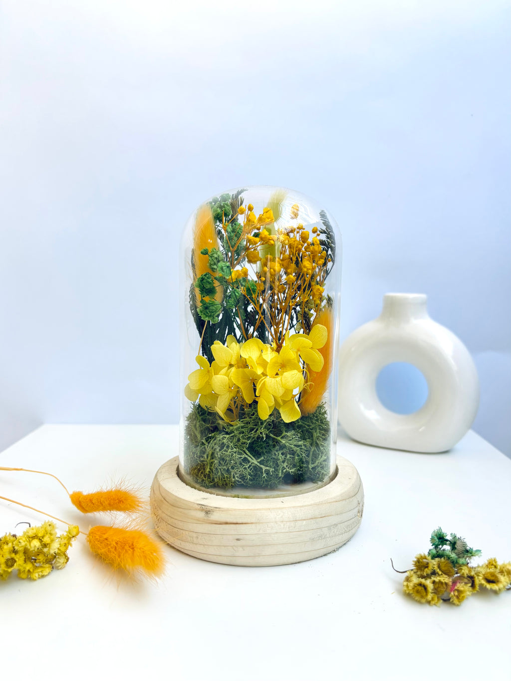 Blooming Halo Preserved Flower Glass Dome (Medium)