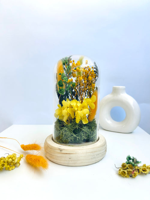 Blooming Halo Preserved Flower Glass Dome (Medium)