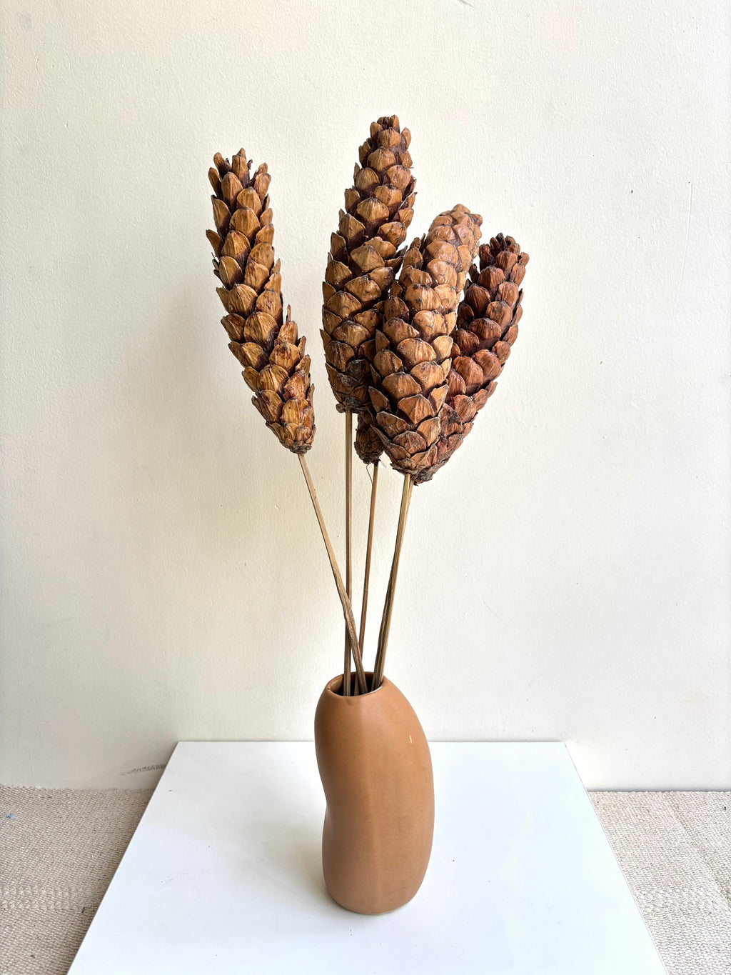 PINE STEMS TALL (SET OF 5)