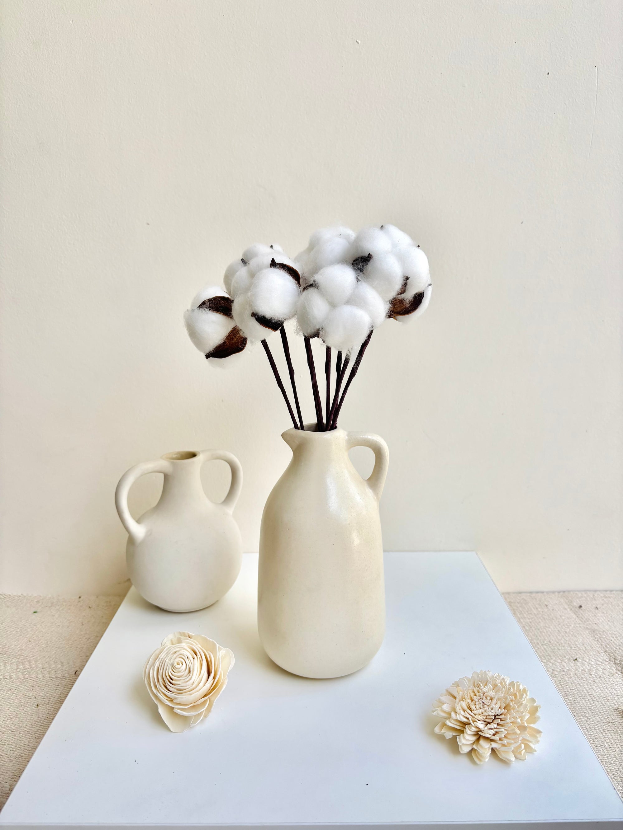 COTTON PODS (SET OF 10)