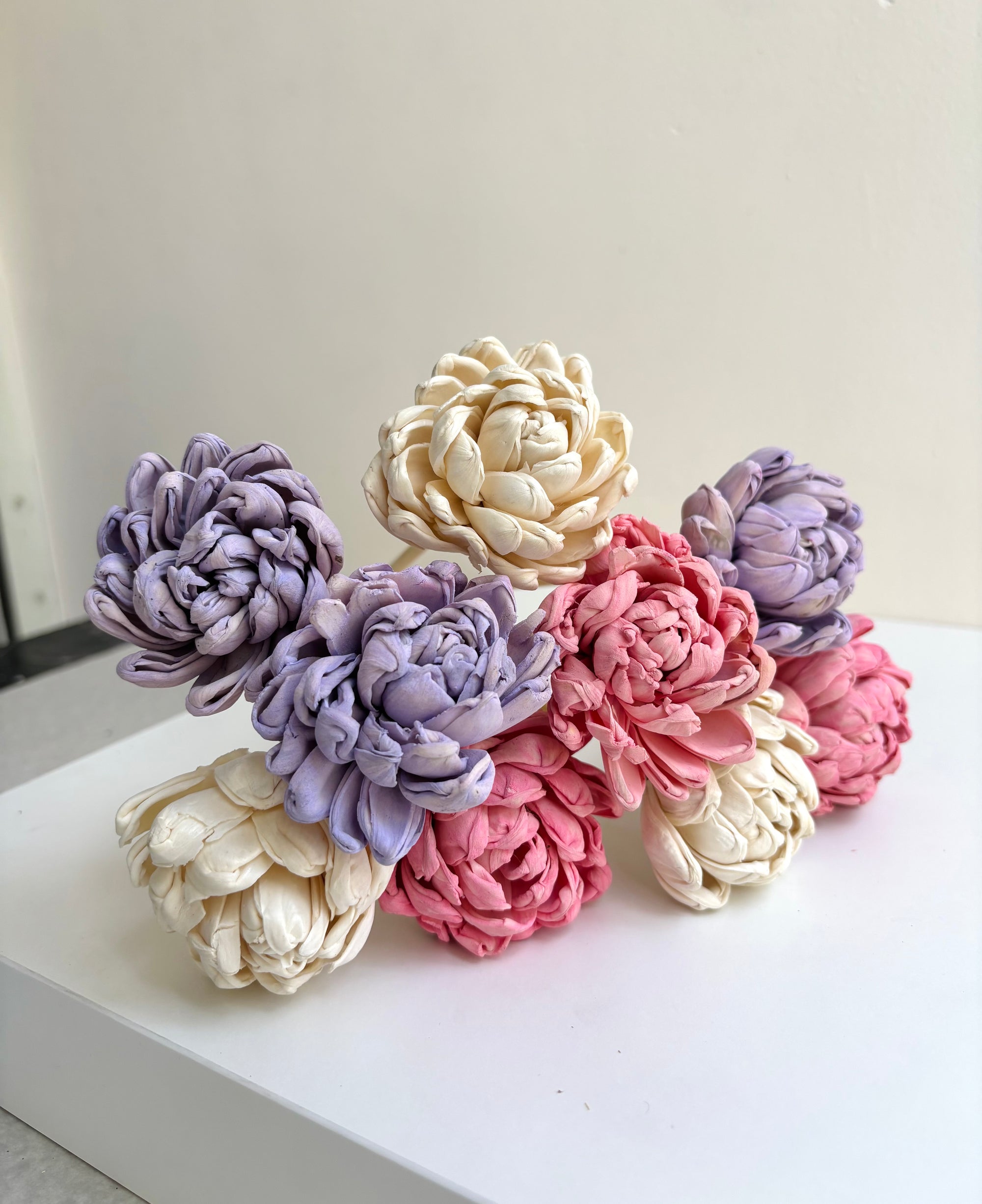 PEONY BLUSH SOLA (SET OF 9)