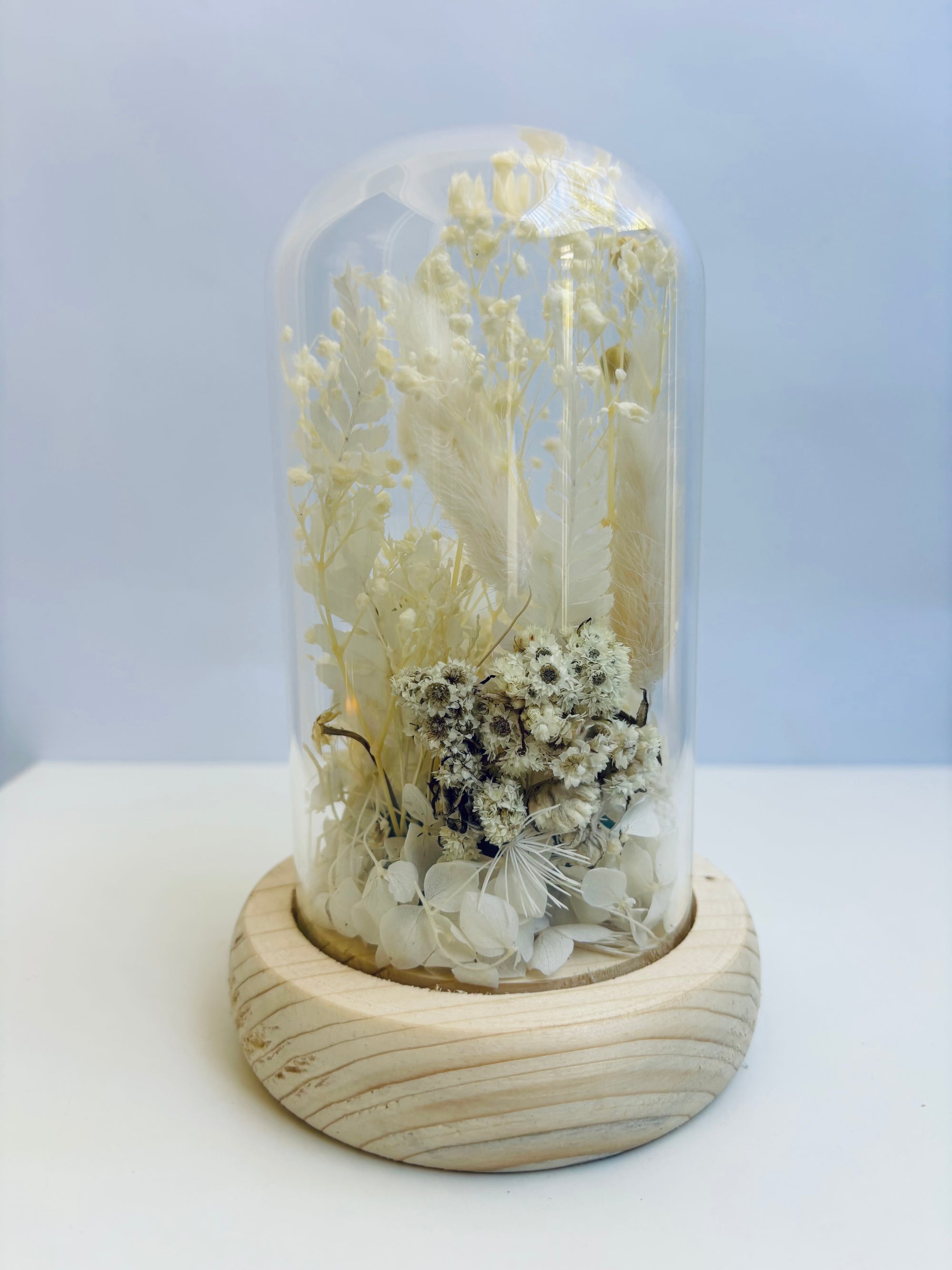 Winter White Preserved Flower Glass Dome (Small)