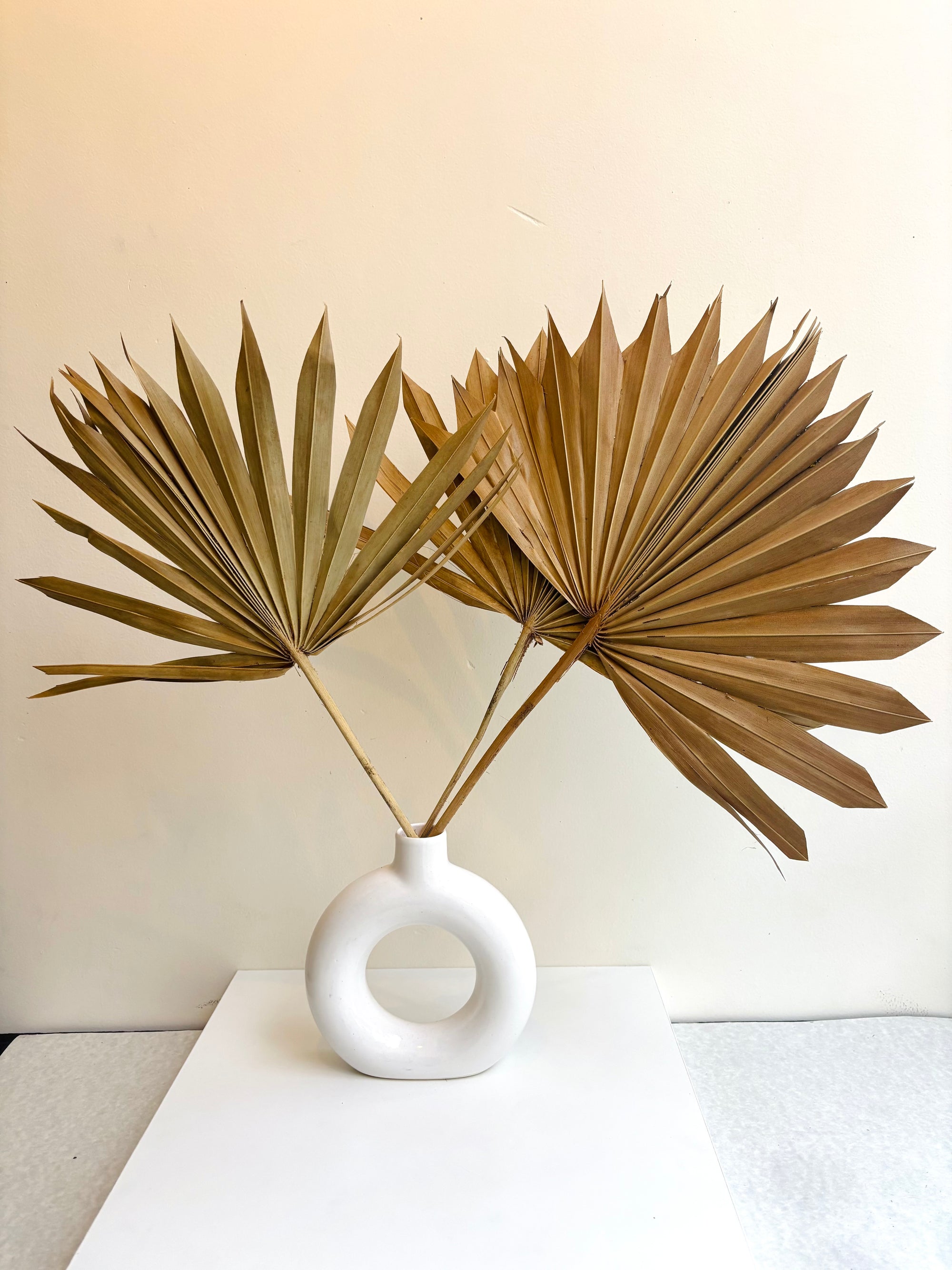 NATURAL SUN SPEAR PALM (SET OF 3)