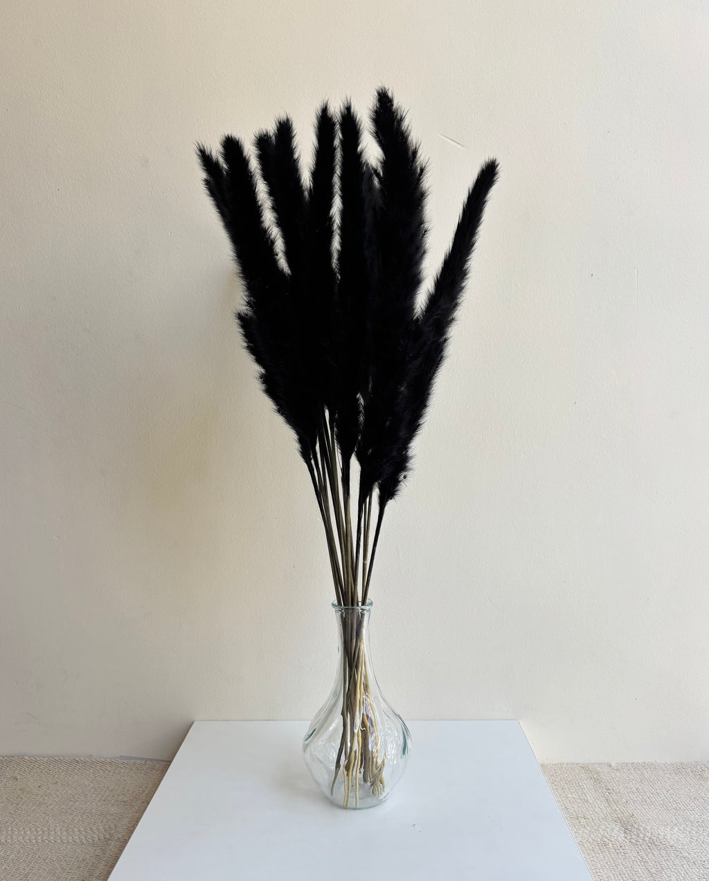 MINI PAMPAS GRASS BLACK (SET OF 10)