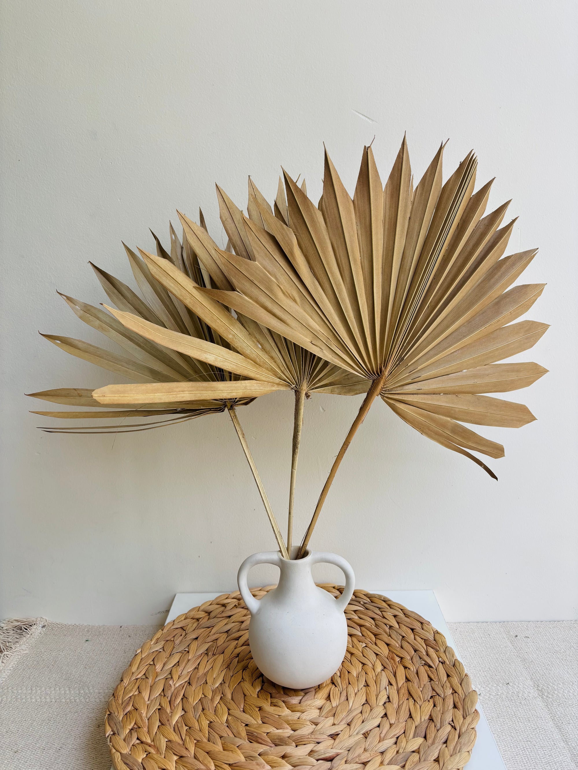 NATURAL SUN SPEAR PALM (SET OF 3)