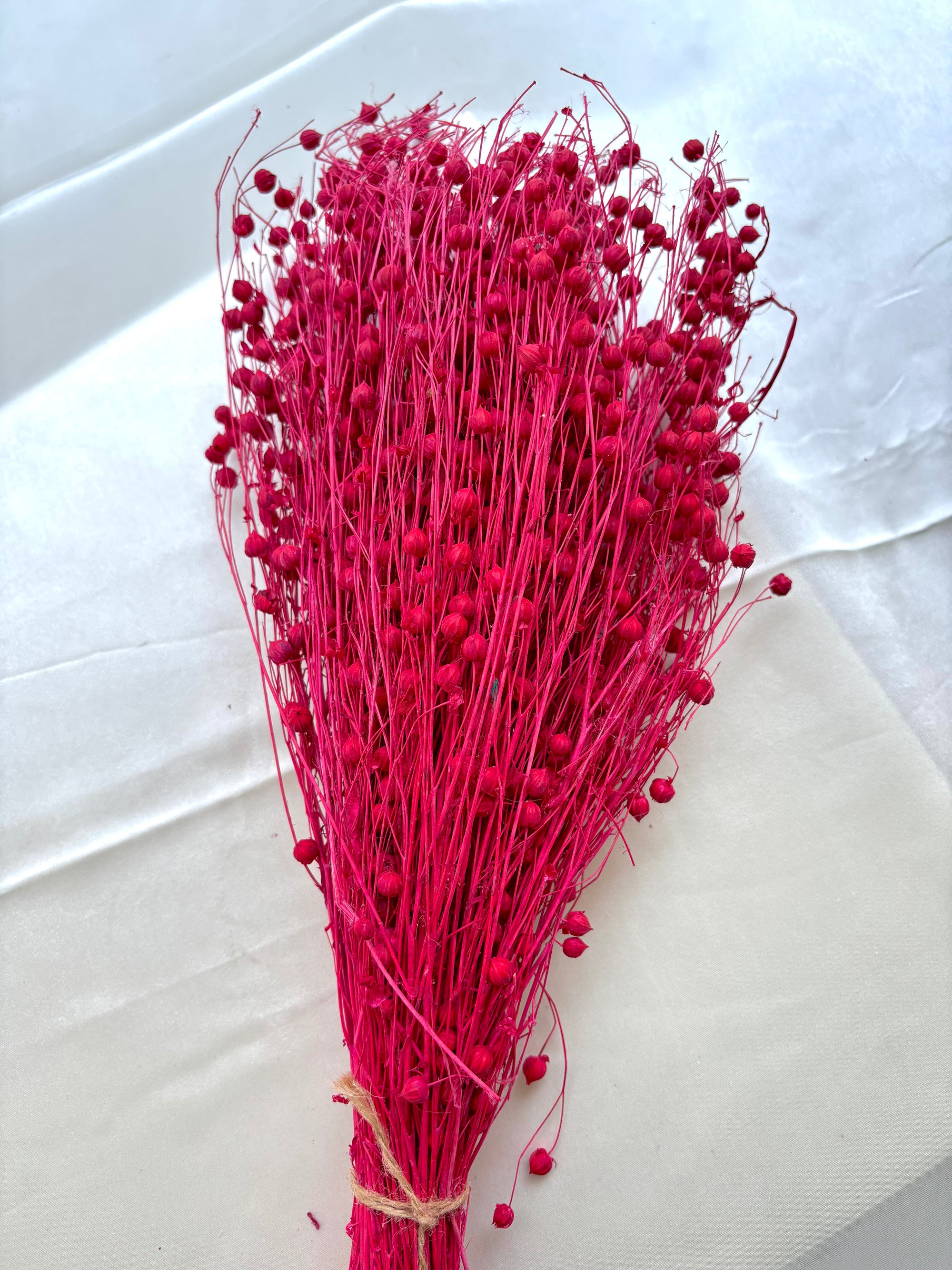 LINUM FLAX PINK (100 GRAM)