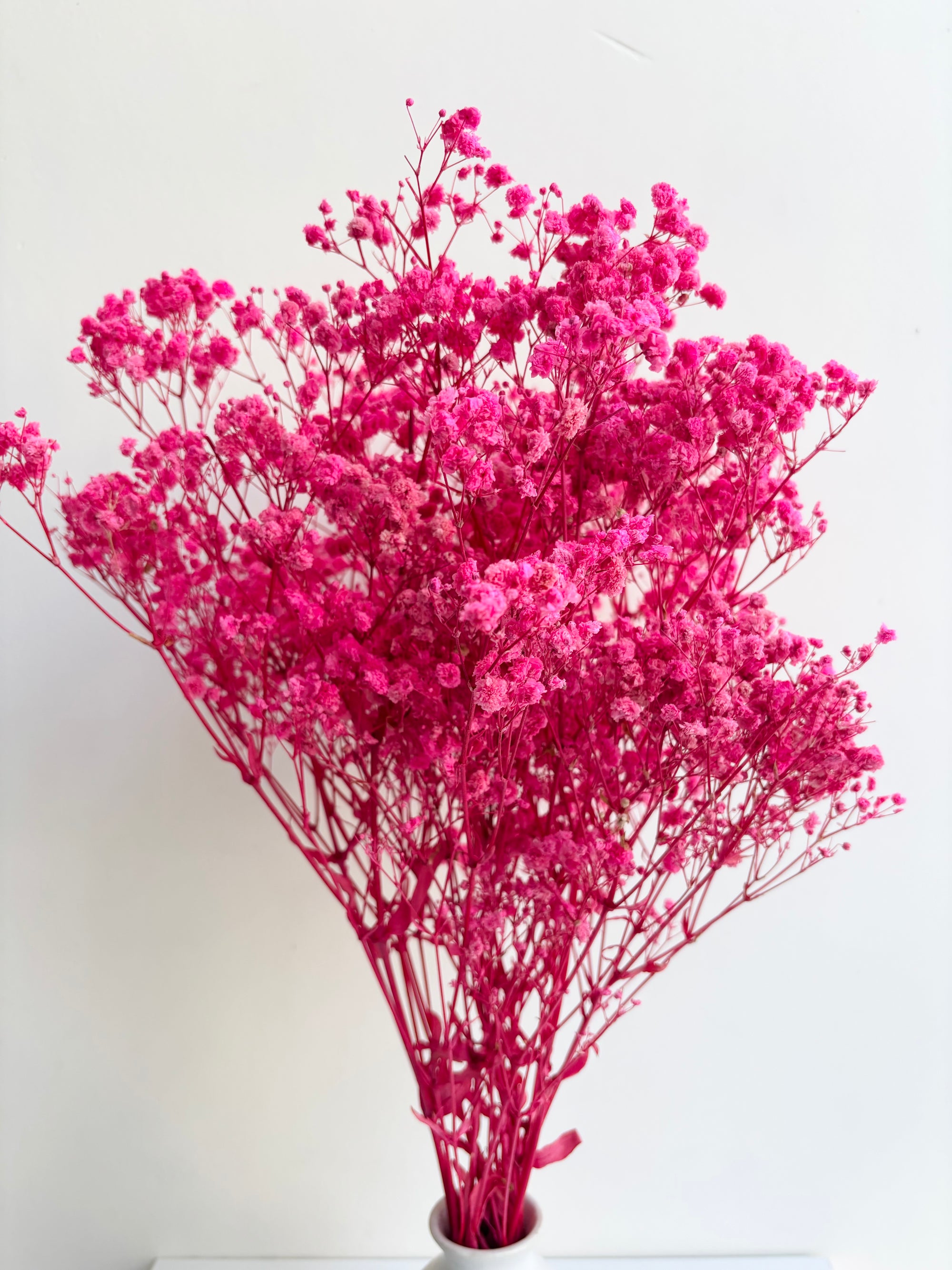PINK BABY’S BREATH BUNCH