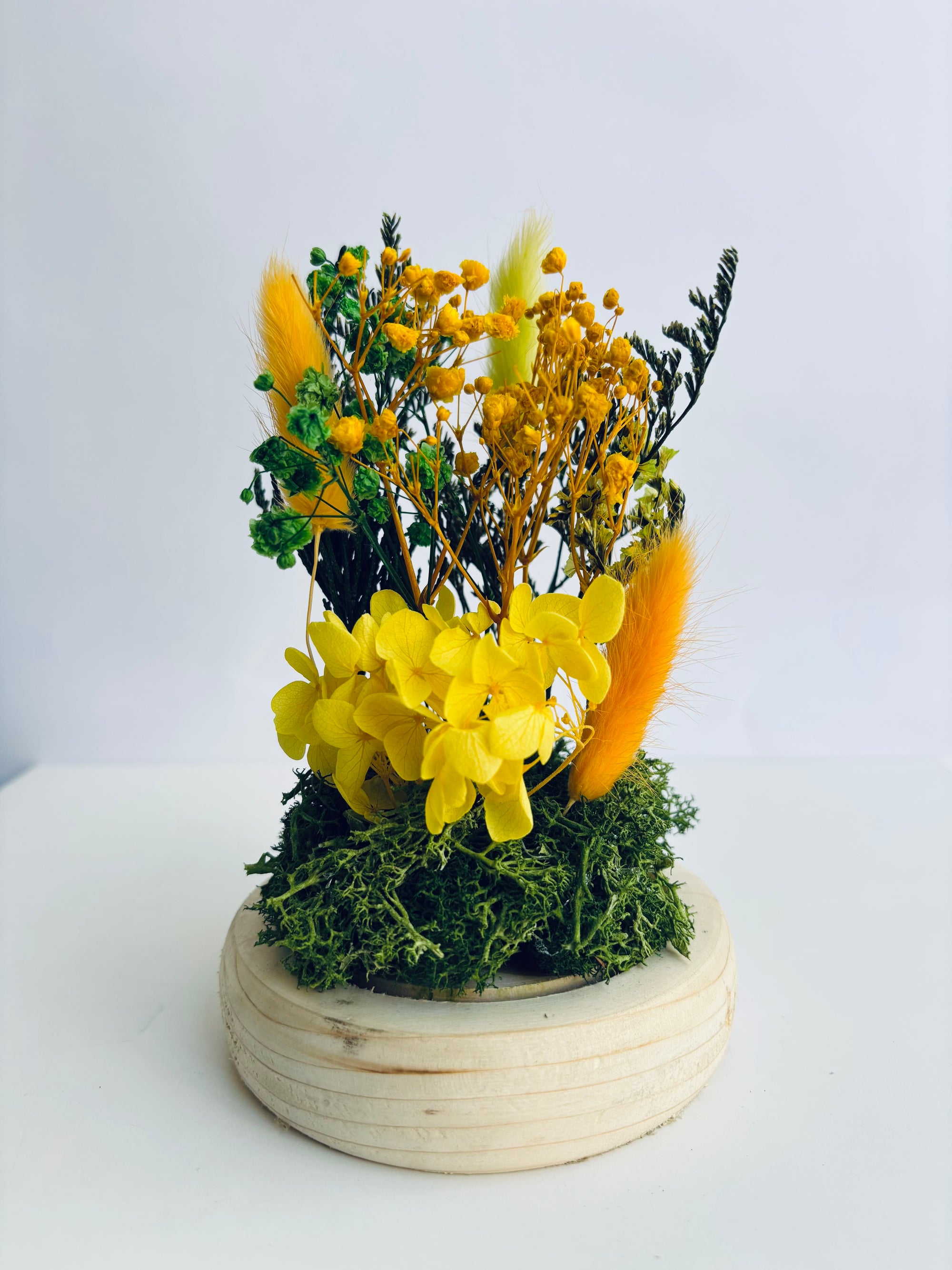 Blooming Halo Preserved Flower Glass Dome (Medium)