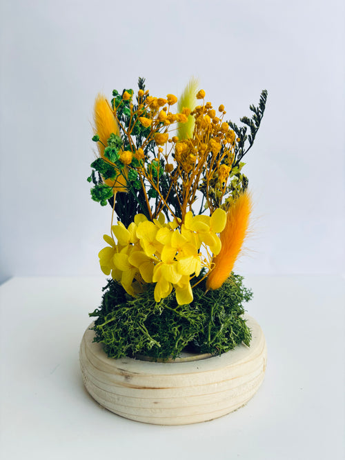Blooming Halo Preserved Flower Glass Dome (Medium)
