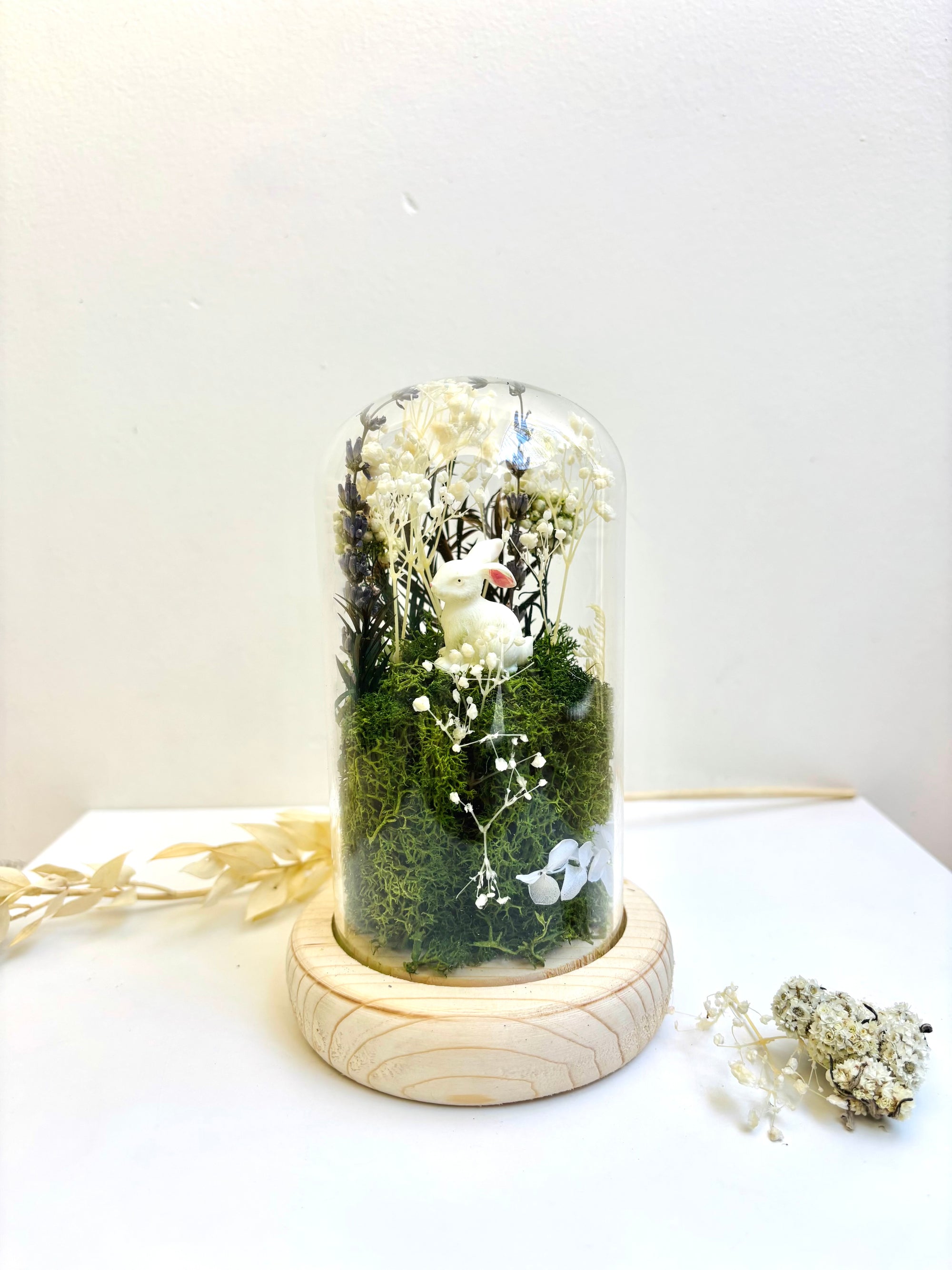 The Mossy Nook Preserved Flower Glass Dome (Medium)