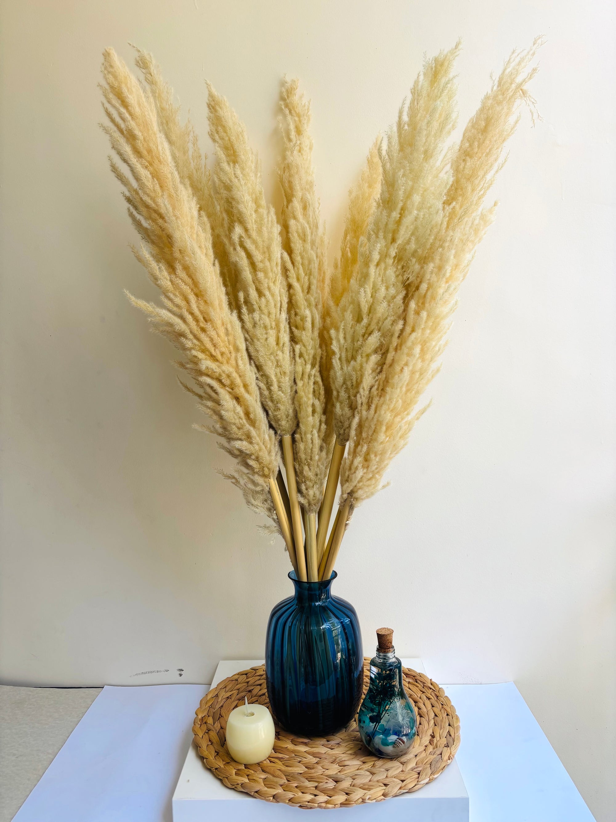 SOFT BREEZE OFF-WHITE PAMPAS