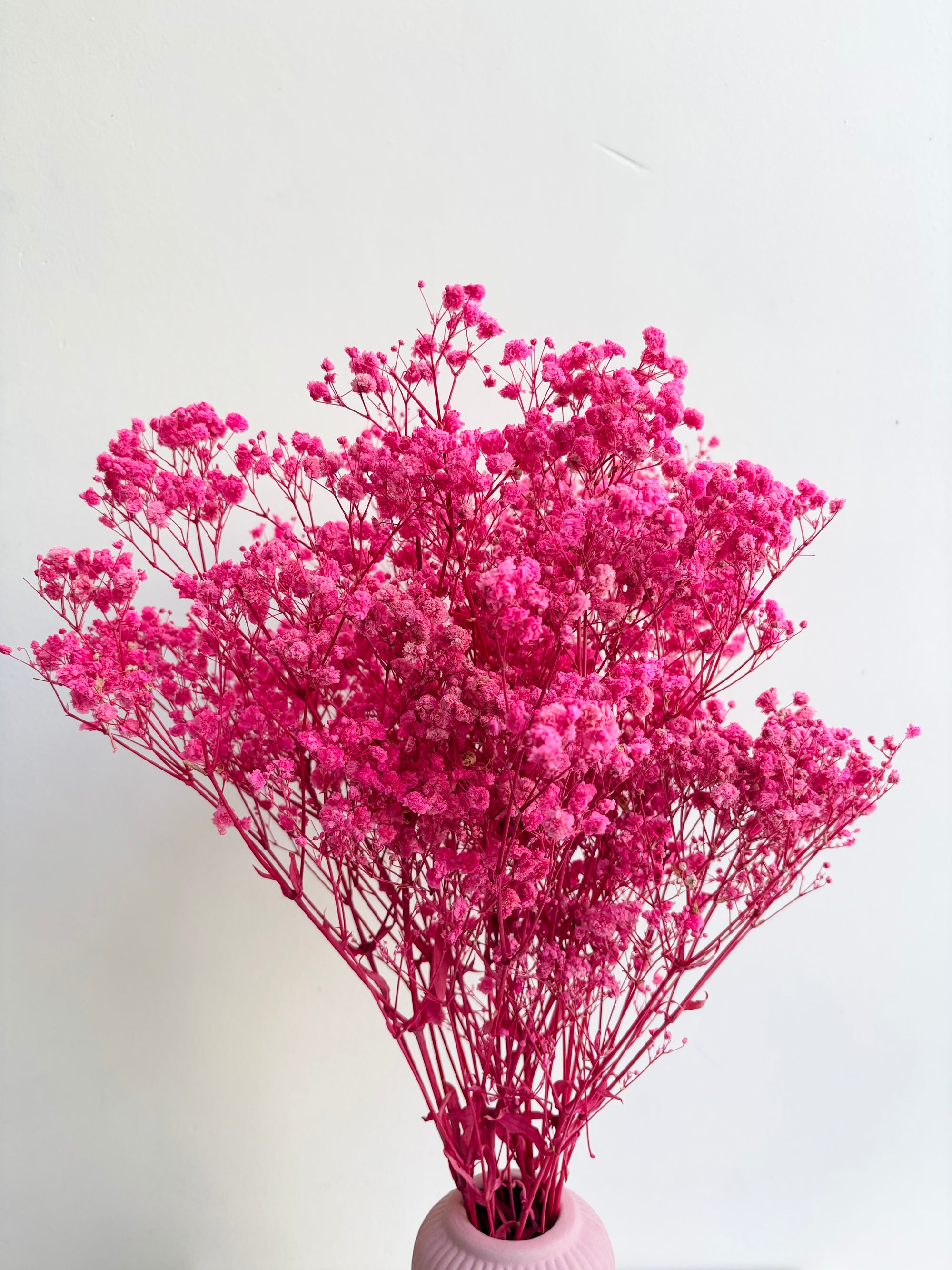 PINK BABY’S BREATH BUNCH