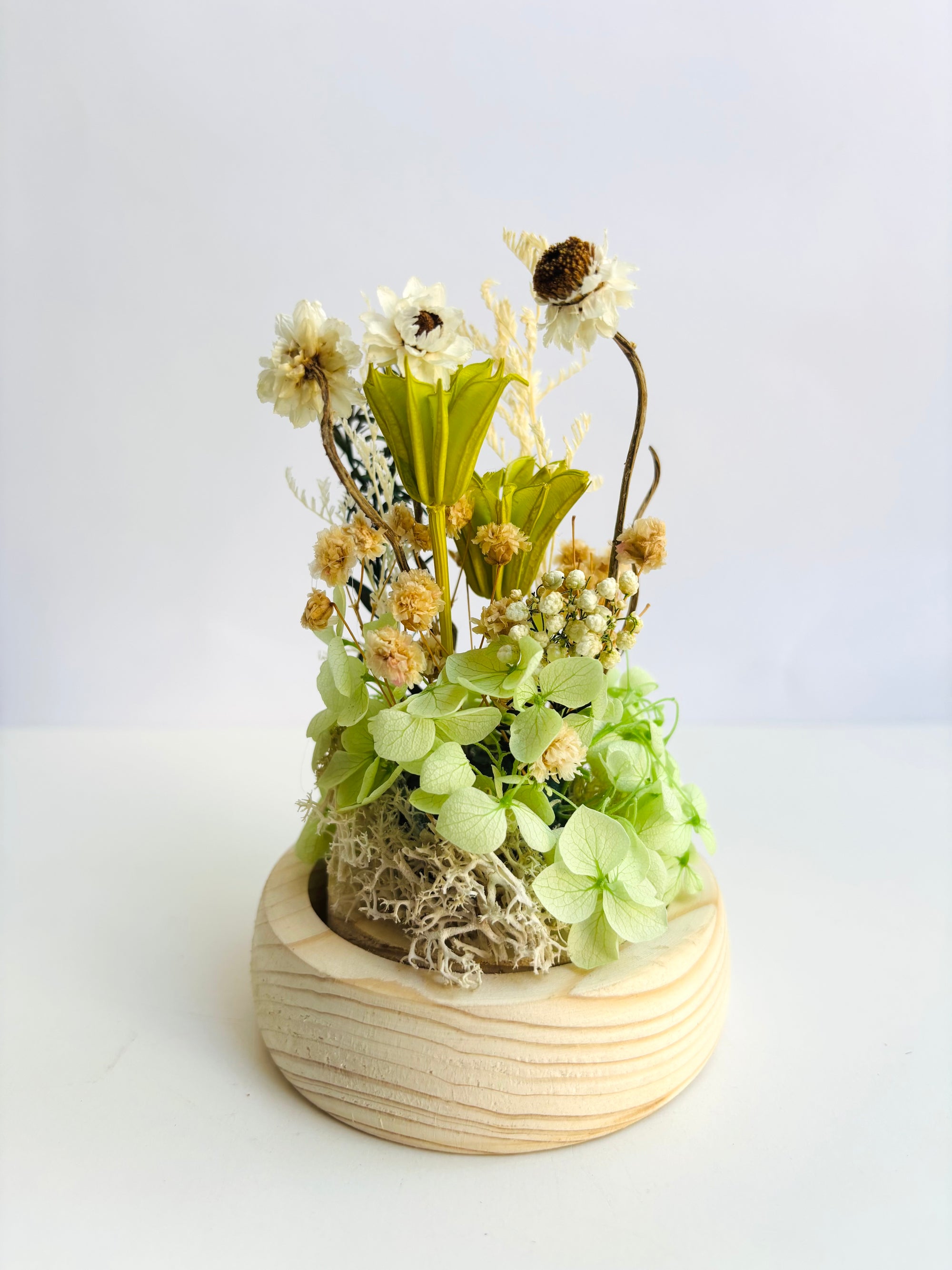 Botanical Wish Preserved Flower Glass Dome (small)