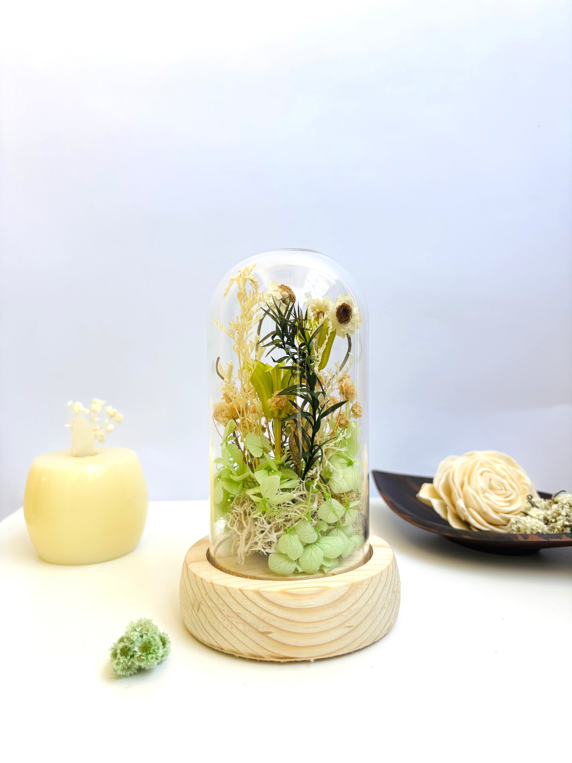 Botanical Wish Preserved Flower Glass Dome (small)